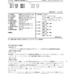 日本特許JP 4205943
