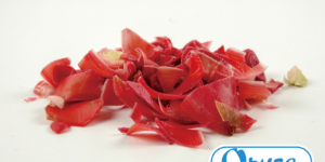紅薑萃取精華主視覺圖，日本專利純淨來源，天然保健食品原料