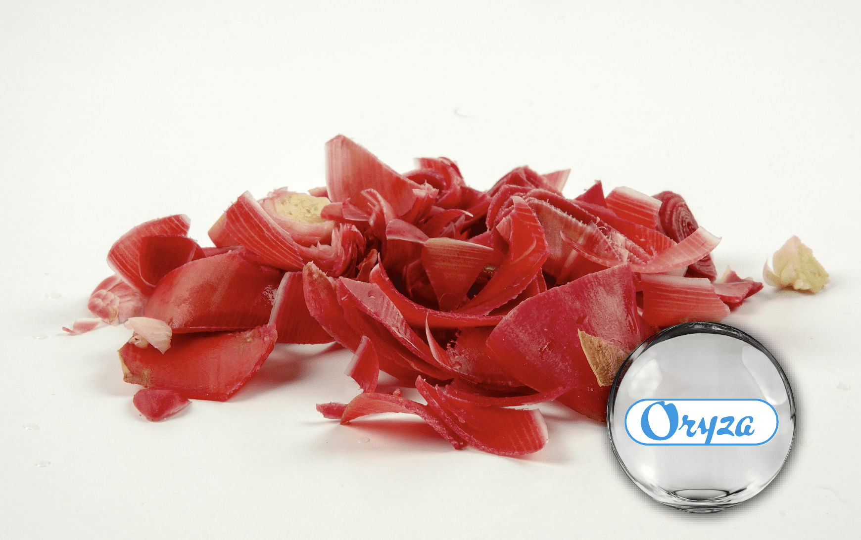Oryza 紅薑萃取 – 高含量薑辣素與薑烯酚，支持靈活調理與舒緩