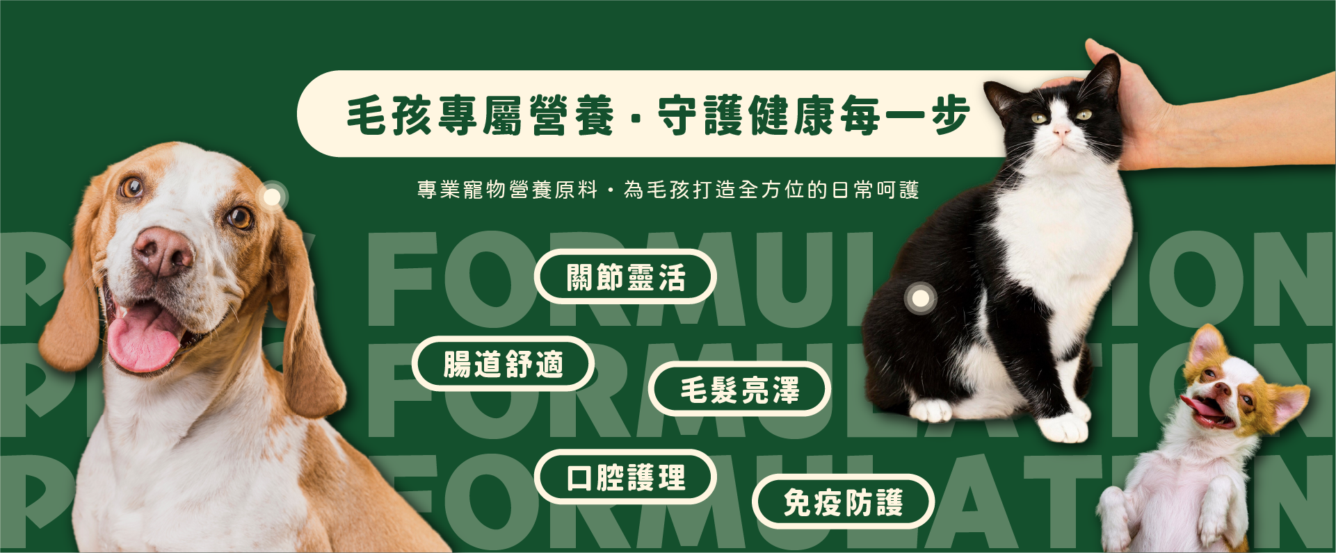 和聚提供寵物保健原料及代工服務