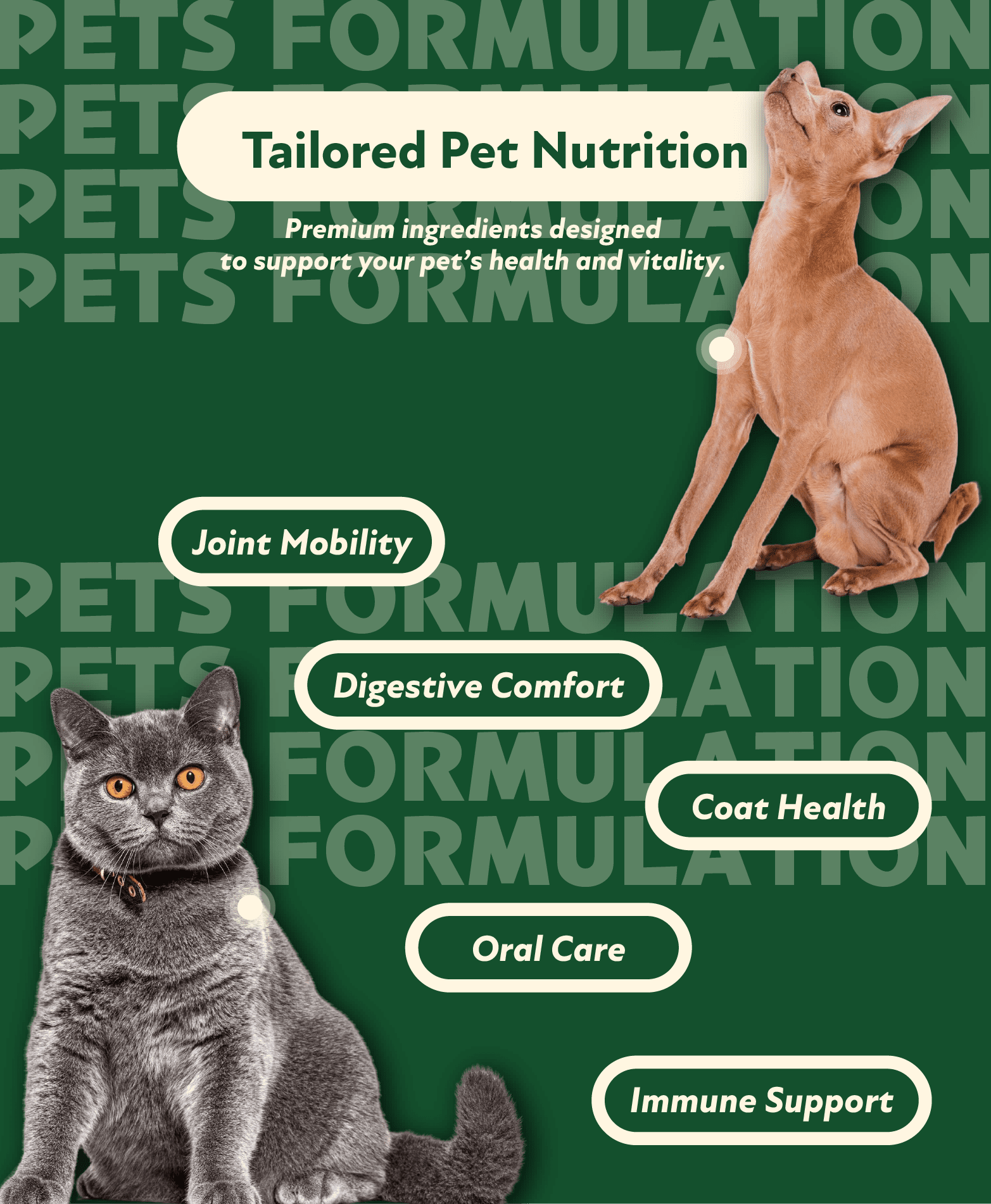 HG BIO offers pet health ingredients and OEM/ODM manufacturing services.