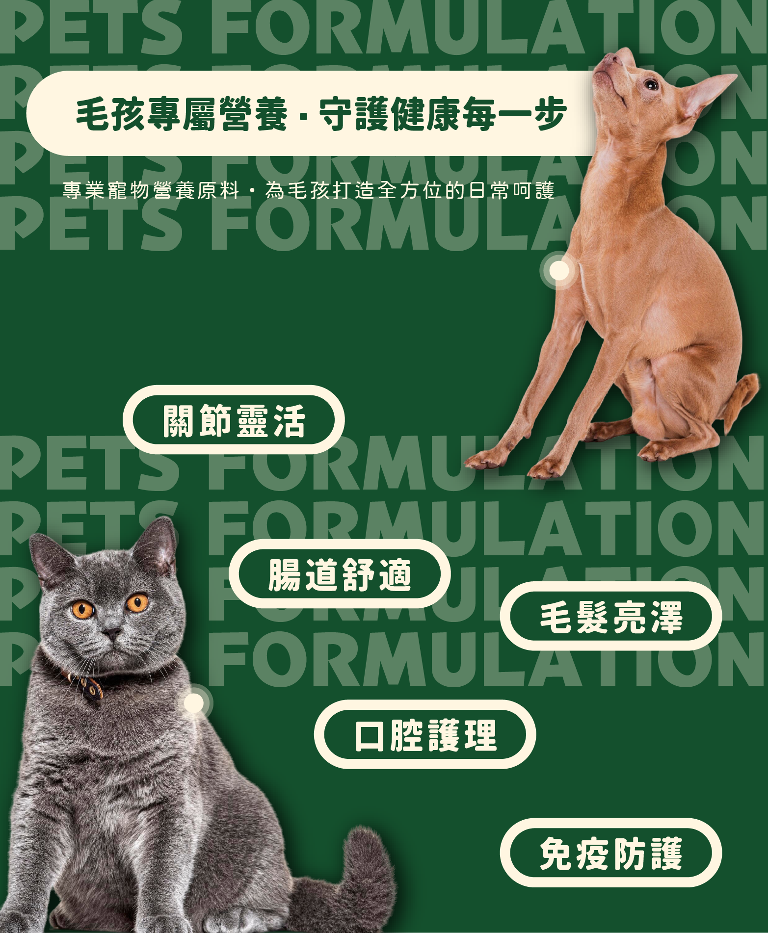 和聚提供寵物保健原料及代工服務
