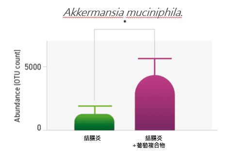Nexira的VinOgrape Plus葡萄萃取物(葡萄複合物)促進AKK菌生長