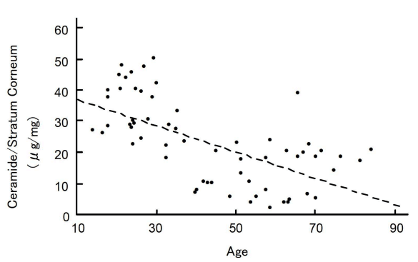 皮膚中的神經醯胺隨著年紀增長而減少