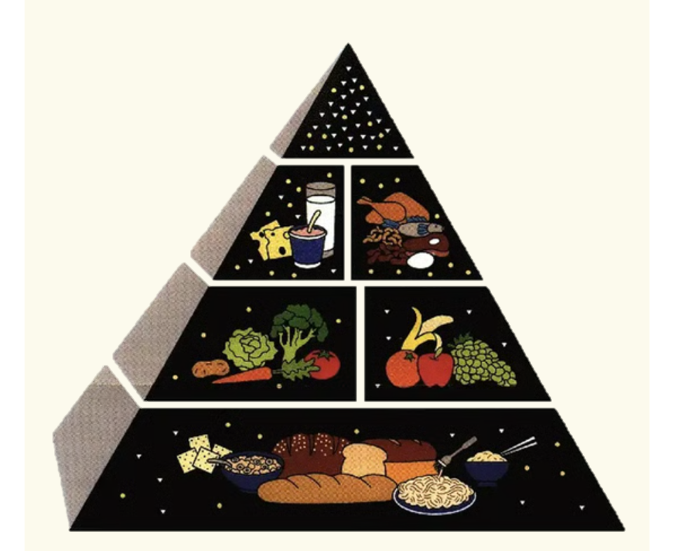 舊版美國飲食建議