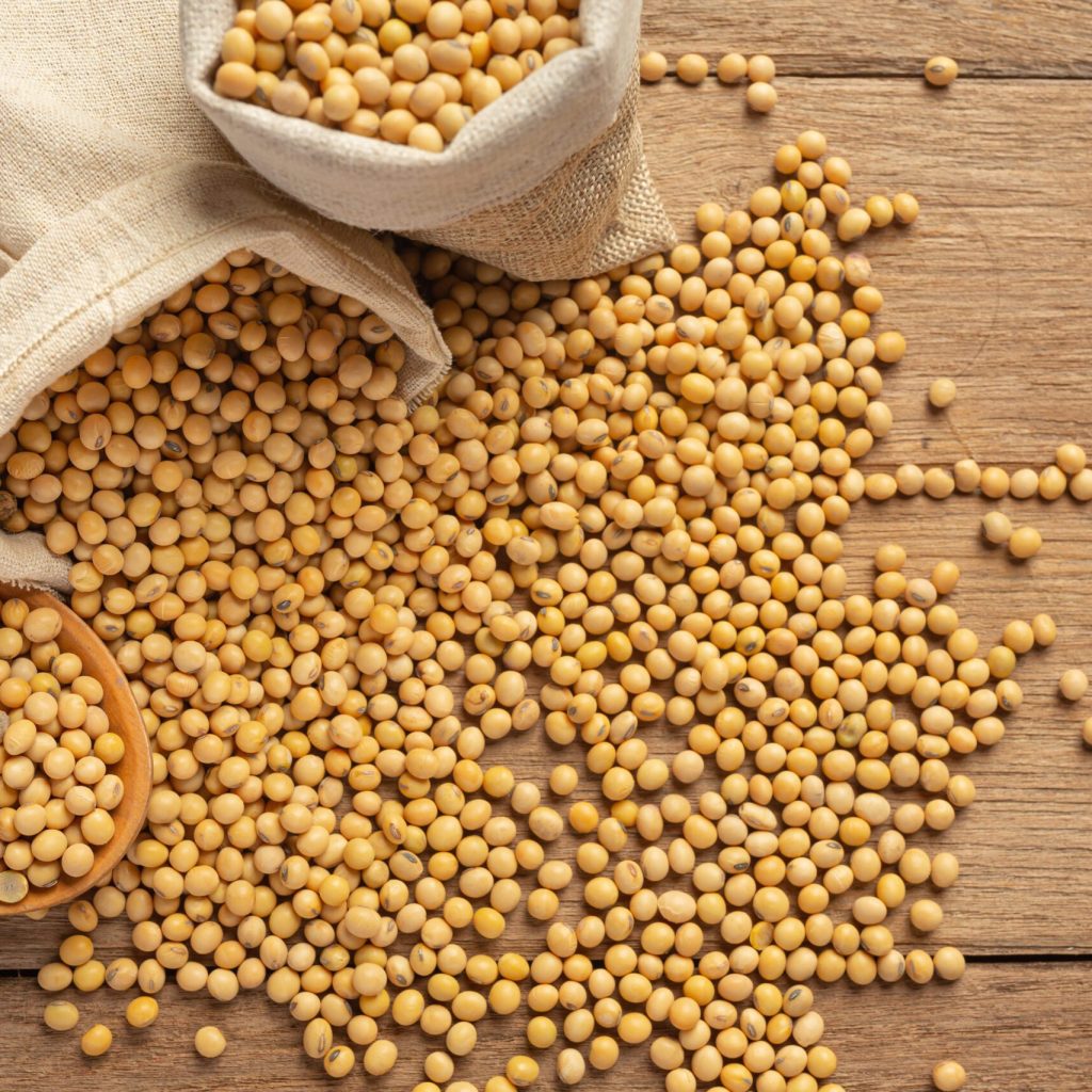 ECA｜Bio PS® 磷脂醯絲胺酸