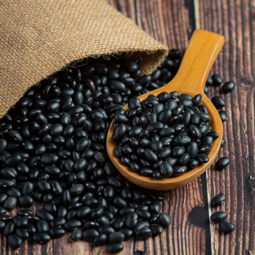 Fujicco｜Chrono-Care® black soy bean coater extract SP-60