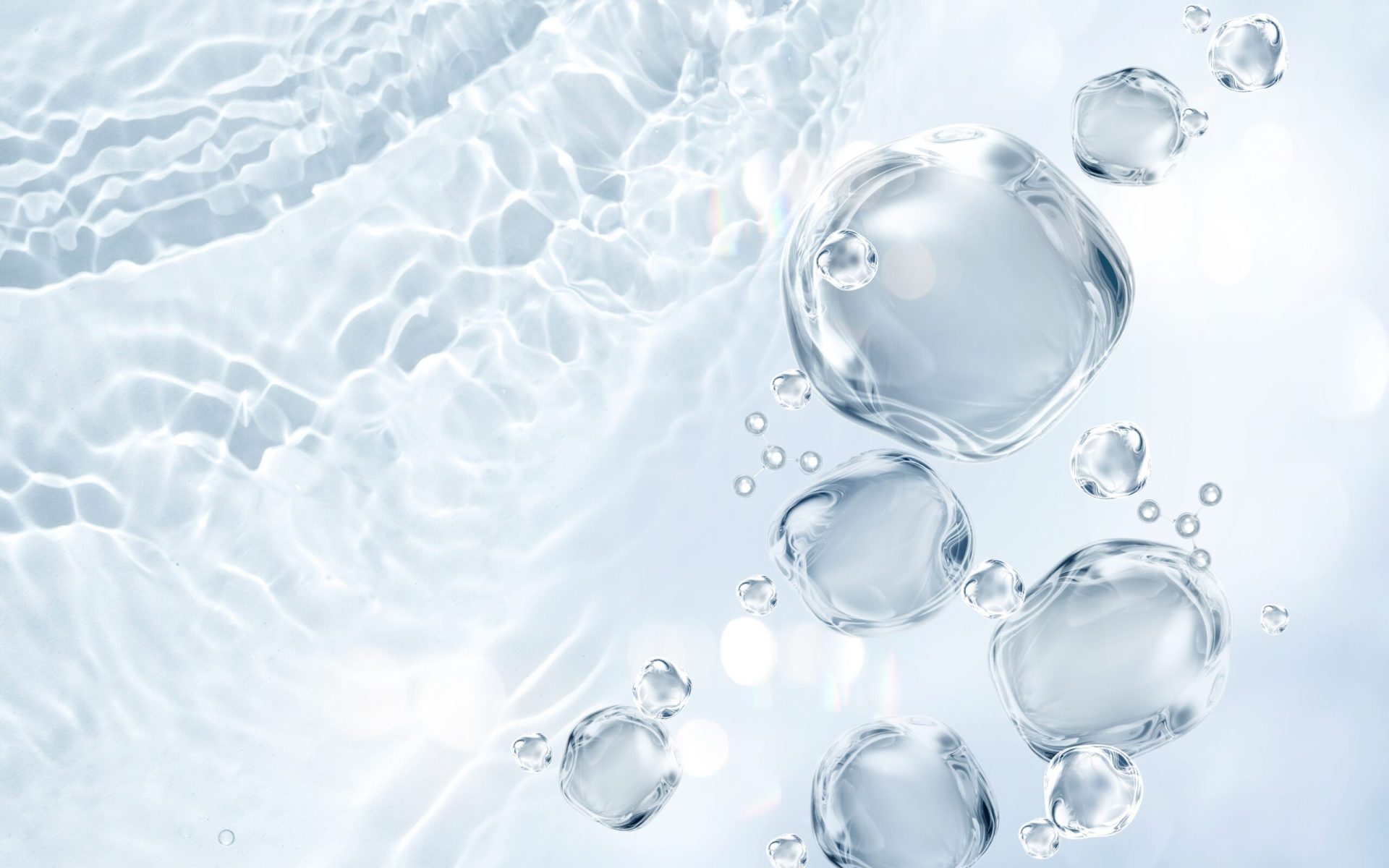 Daesang Inter｜Nutra-HA®流行鏈球菌發酵物