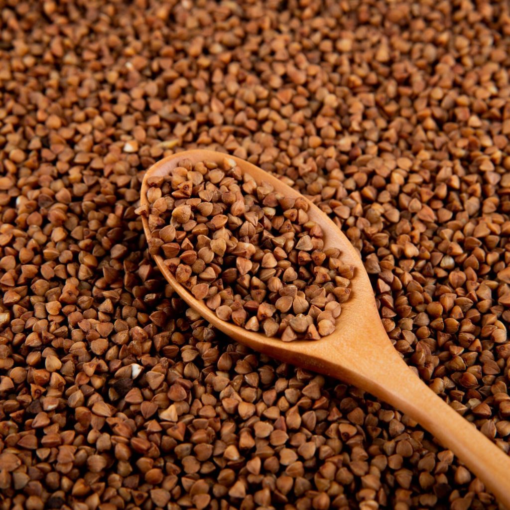 Gencor｜Testofen®葫蘆巴萃取