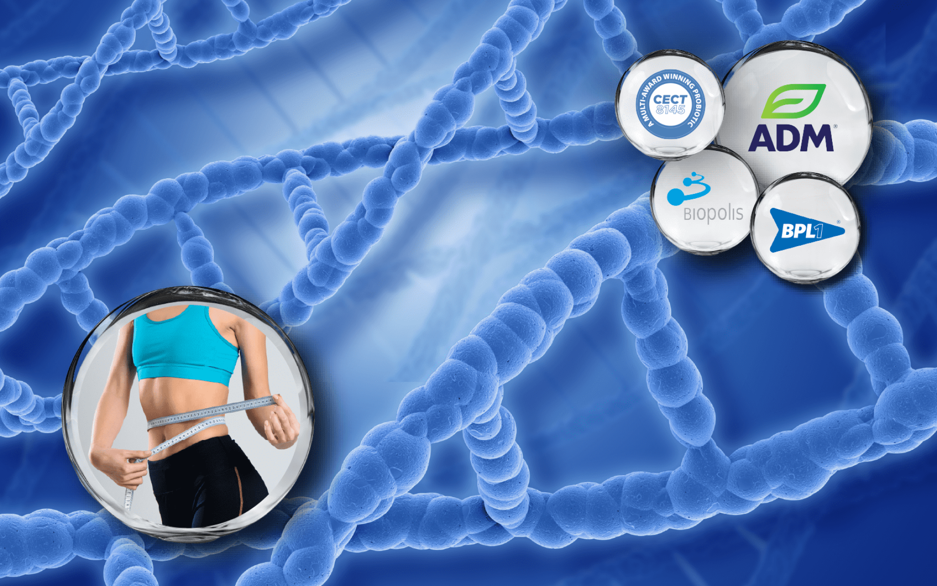 ADM Biopolis 乳酸菌 CECT8145 – 西班牙專利與國際大獎肯定的益生菌株