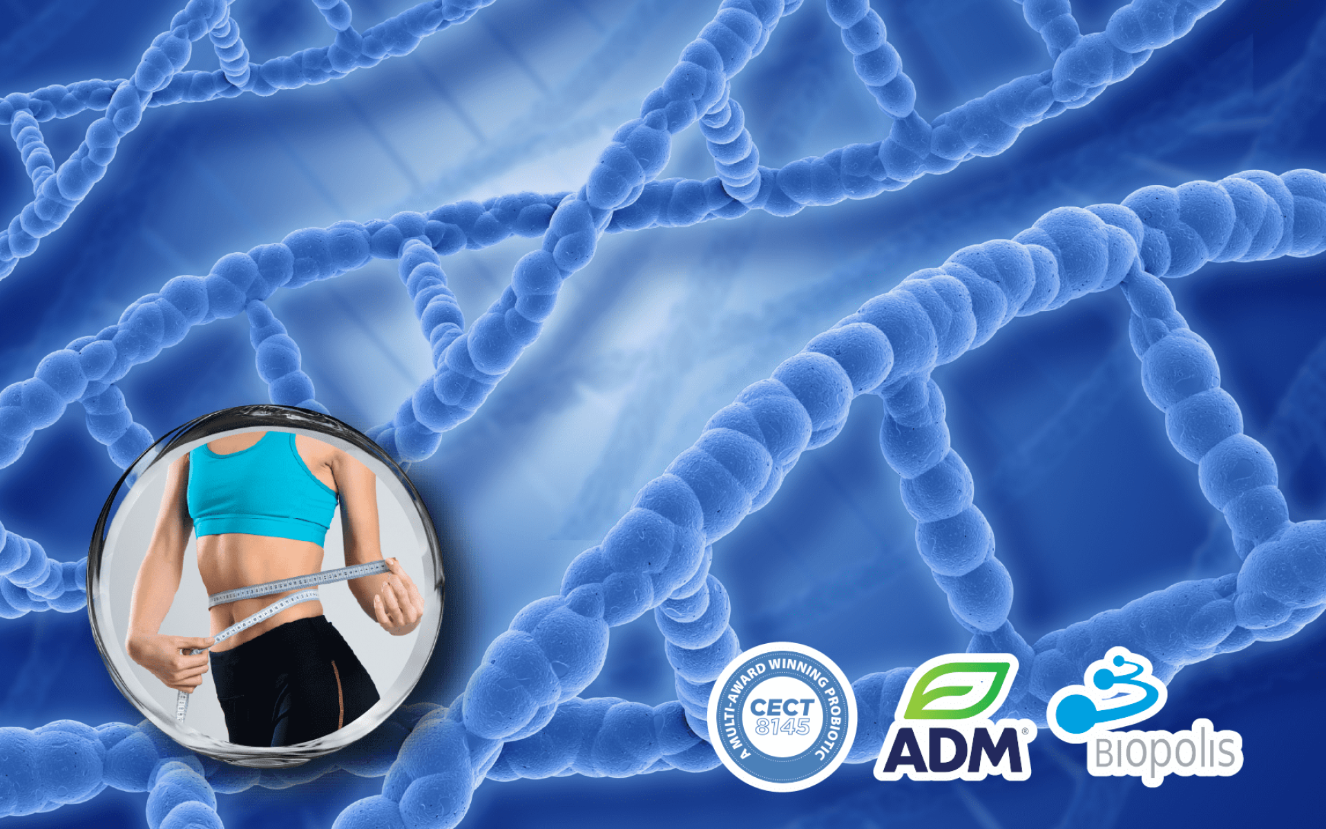 ADM Biopolis 乳酸菌 CECT8145 – 西班牙專利與國際大獎肯定的益生菌株