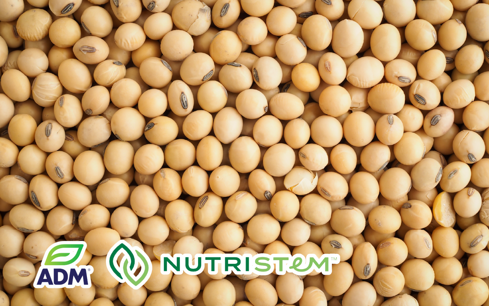 ADM 大豆分離蛋白｜優質植物蛋白來源