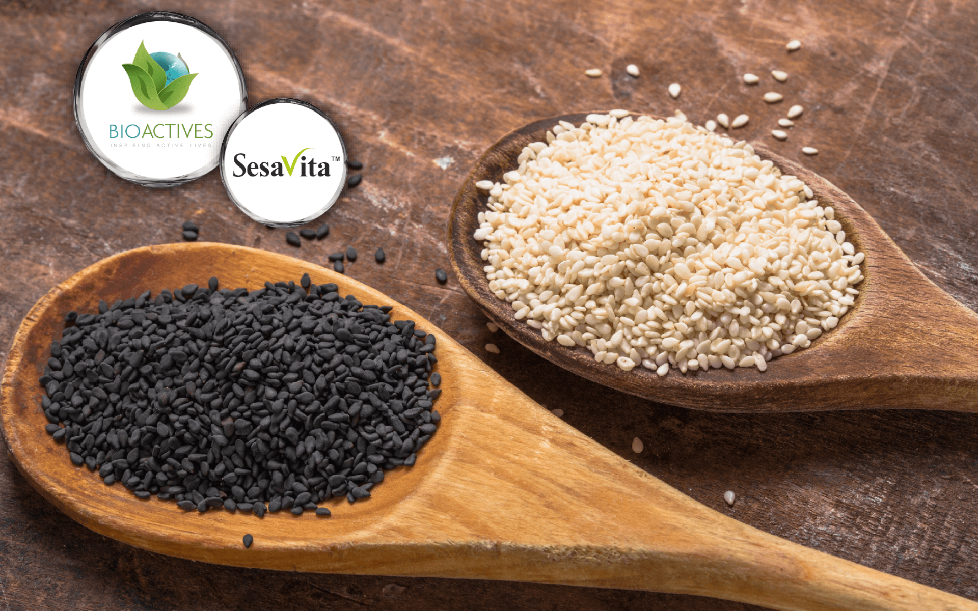 Bio Actives Sesavita® – 高純度芝麻素萃取，支持睡眠與代謝健康