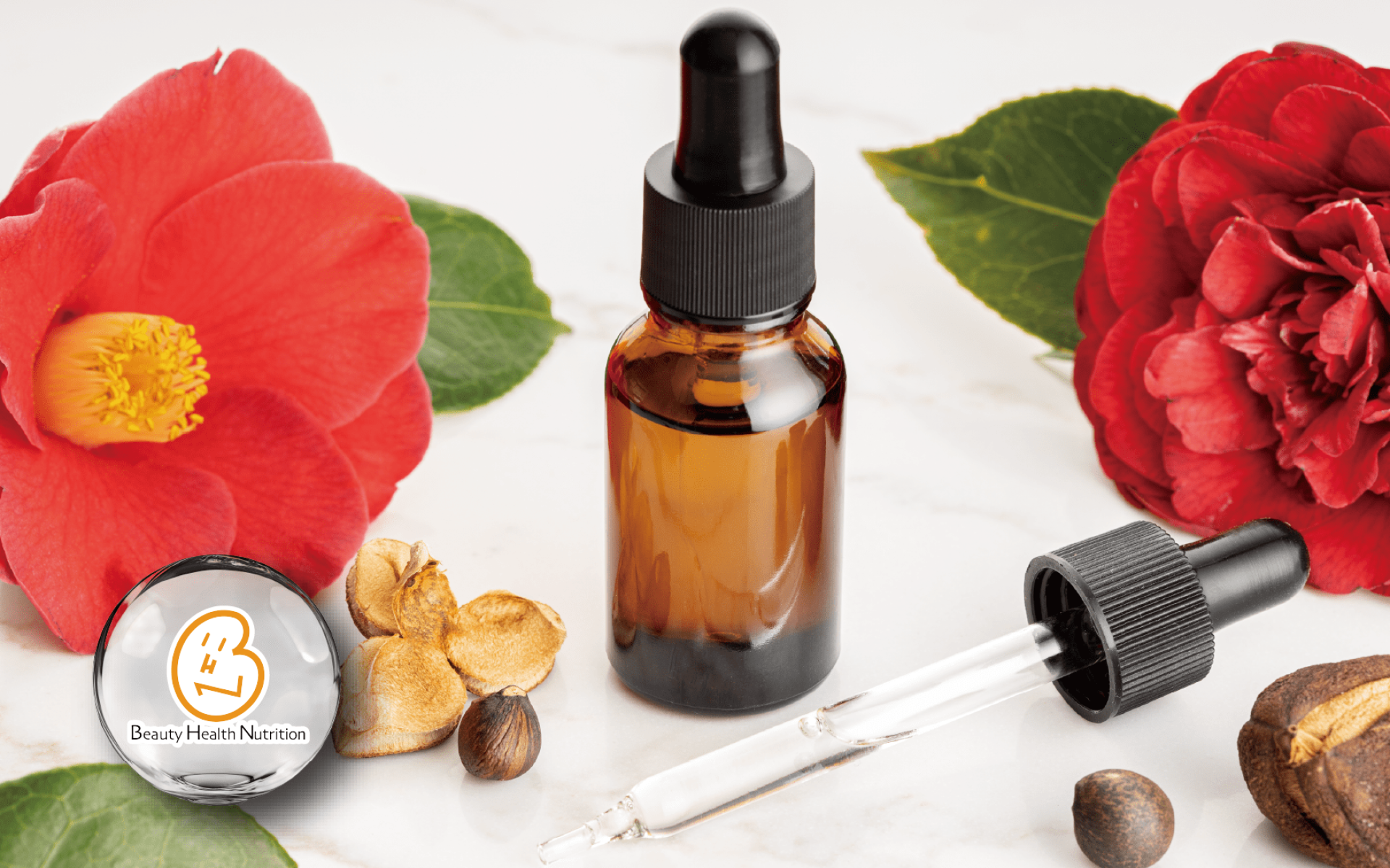 BHN 山茶籽油 – 日本原產東方橄欖油，高油酸健康補給