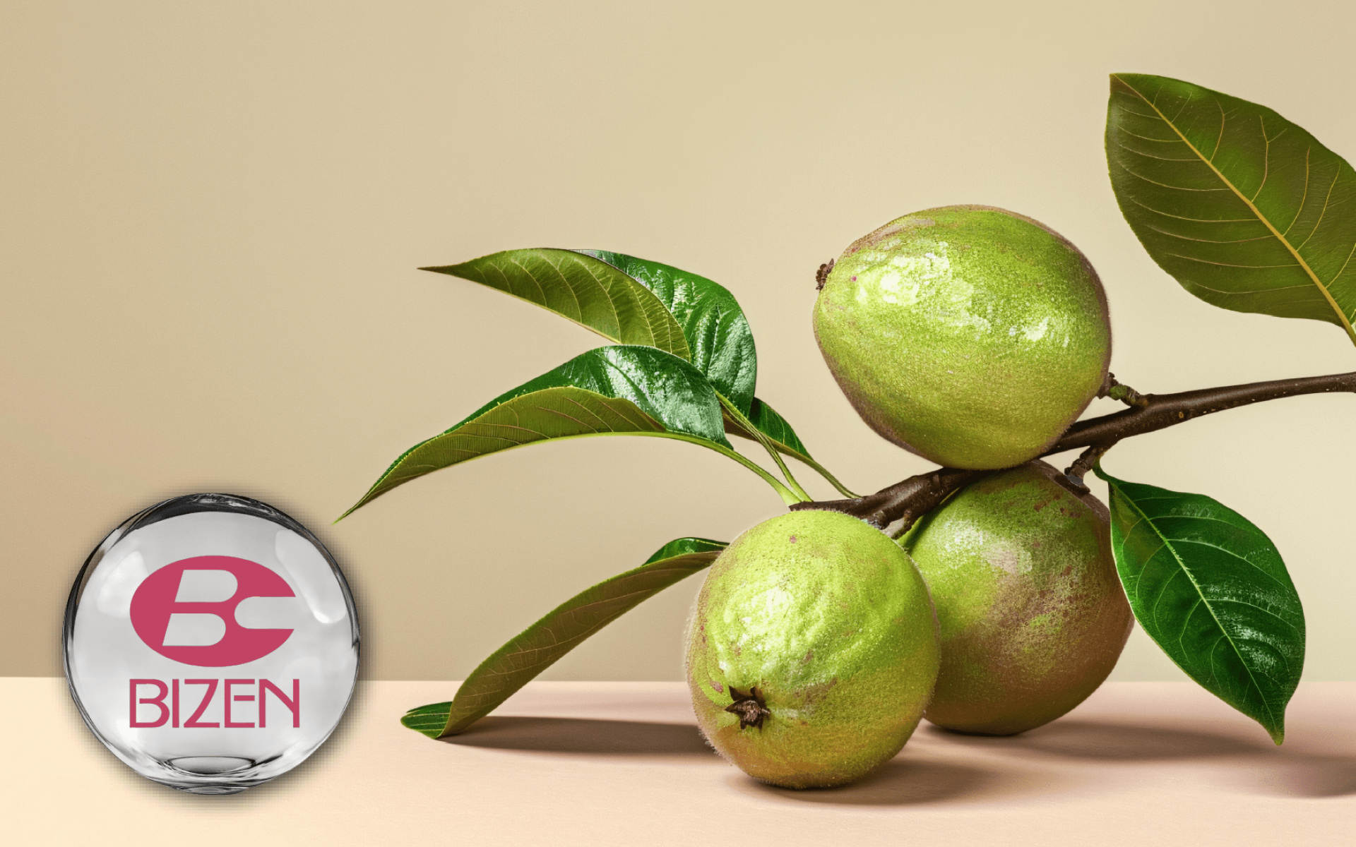 Bizen Guava Leaf Extract – High polyphenol botanical ingredient supporting metabolic balance
