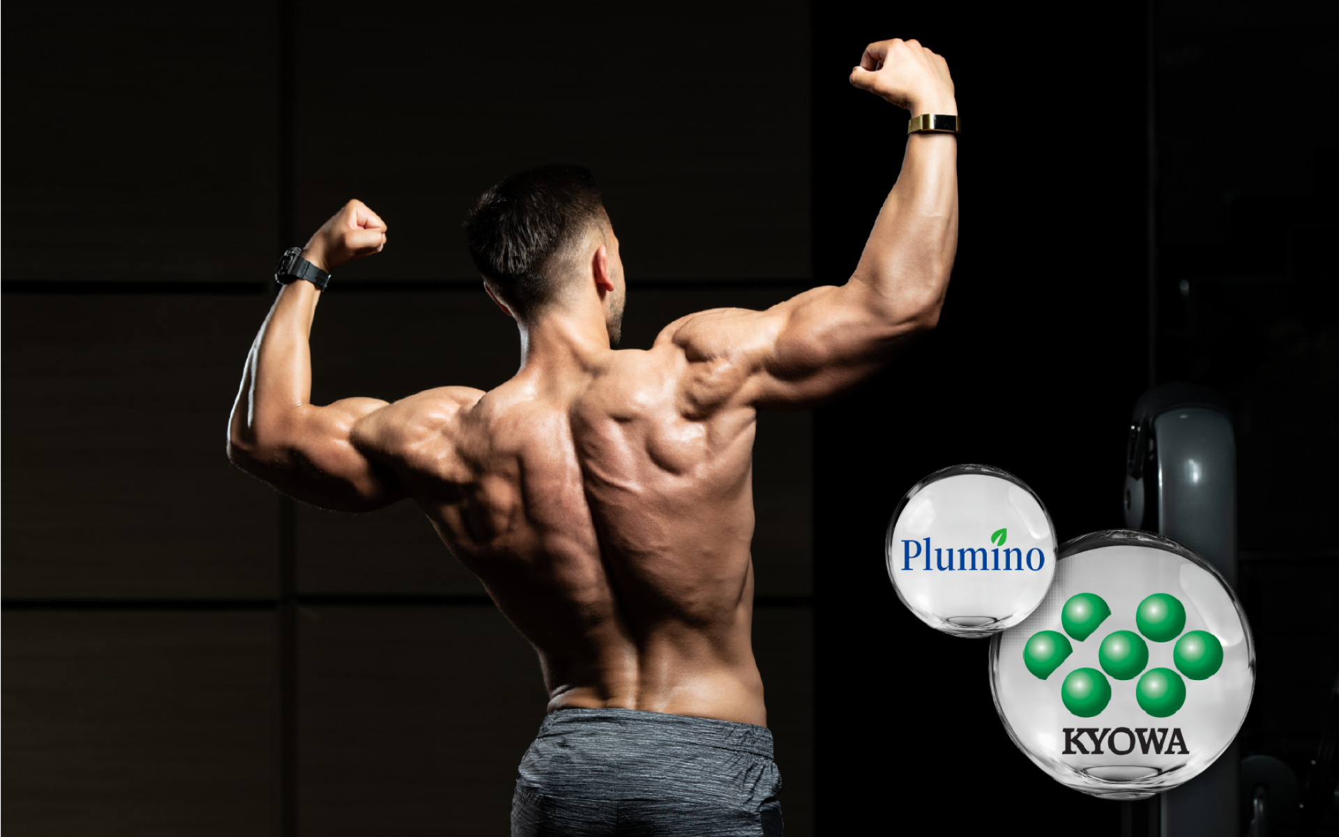 BioKyowa L-Arginine – fermentation-based amino acid for circulation support