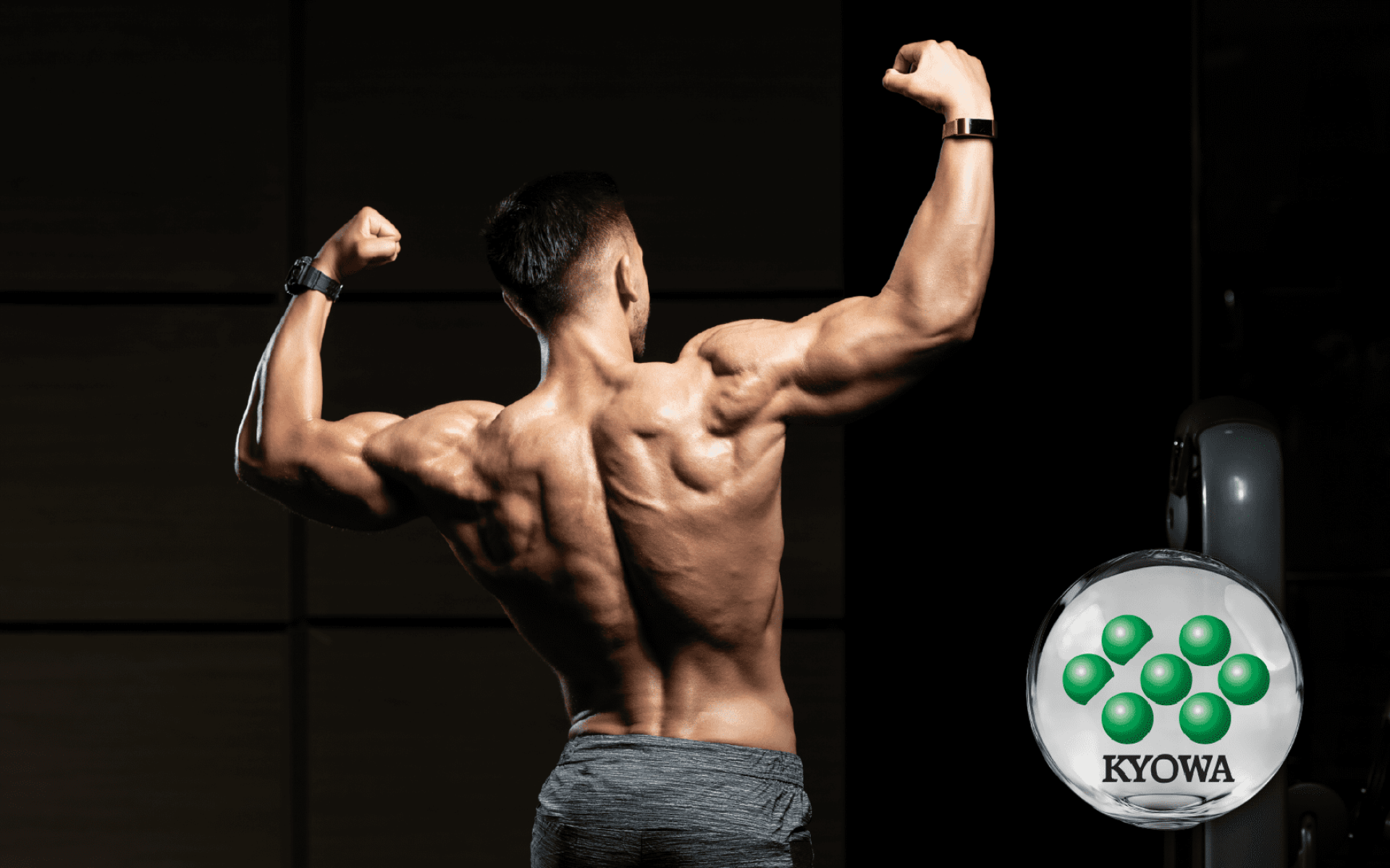 BioKyowa L-Arginine – fermentation-based amino acid for circulation support