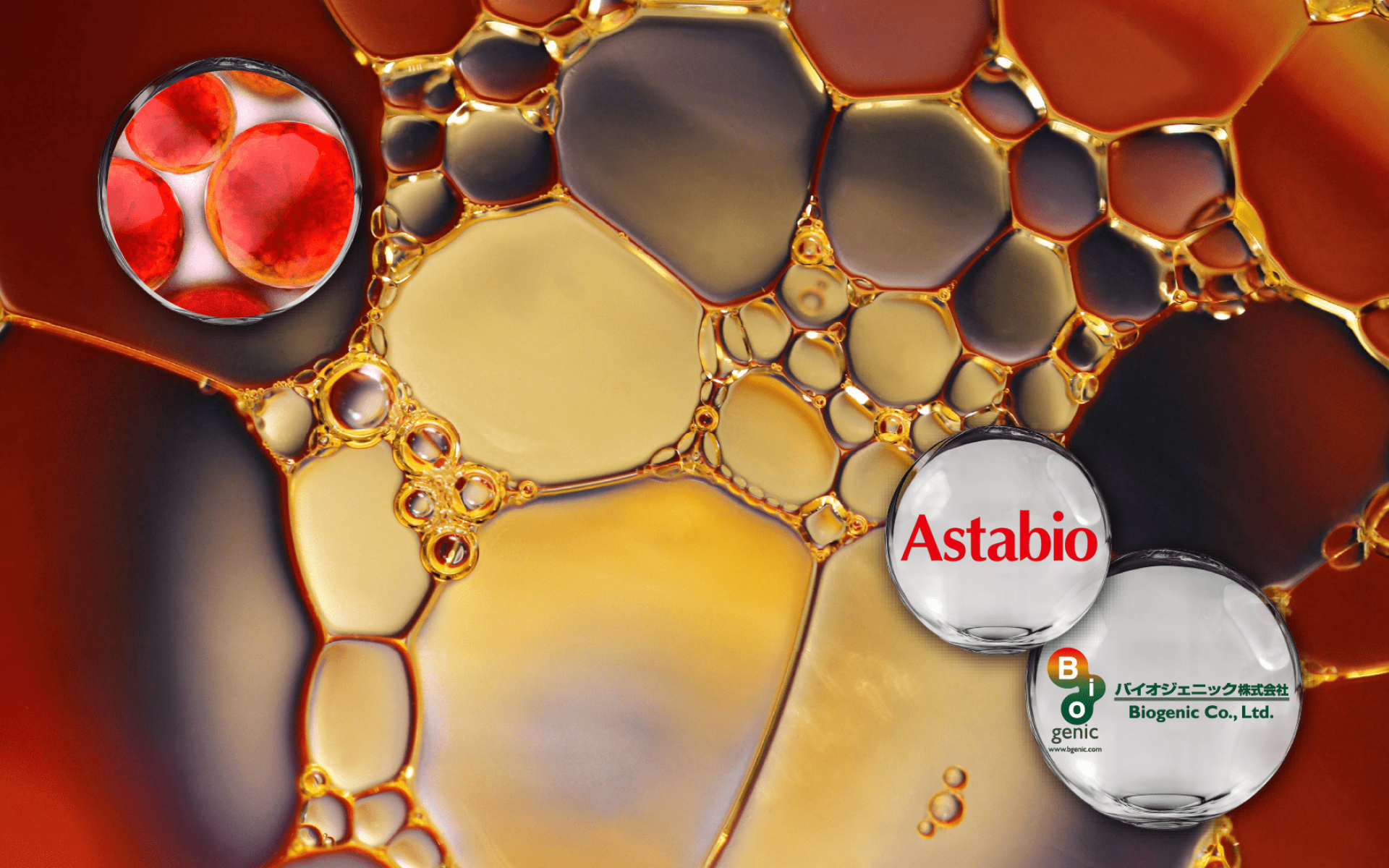 Biogenic Red Algae Extract AP1 – Japan-origin astaxanthin for beauty and wellness support