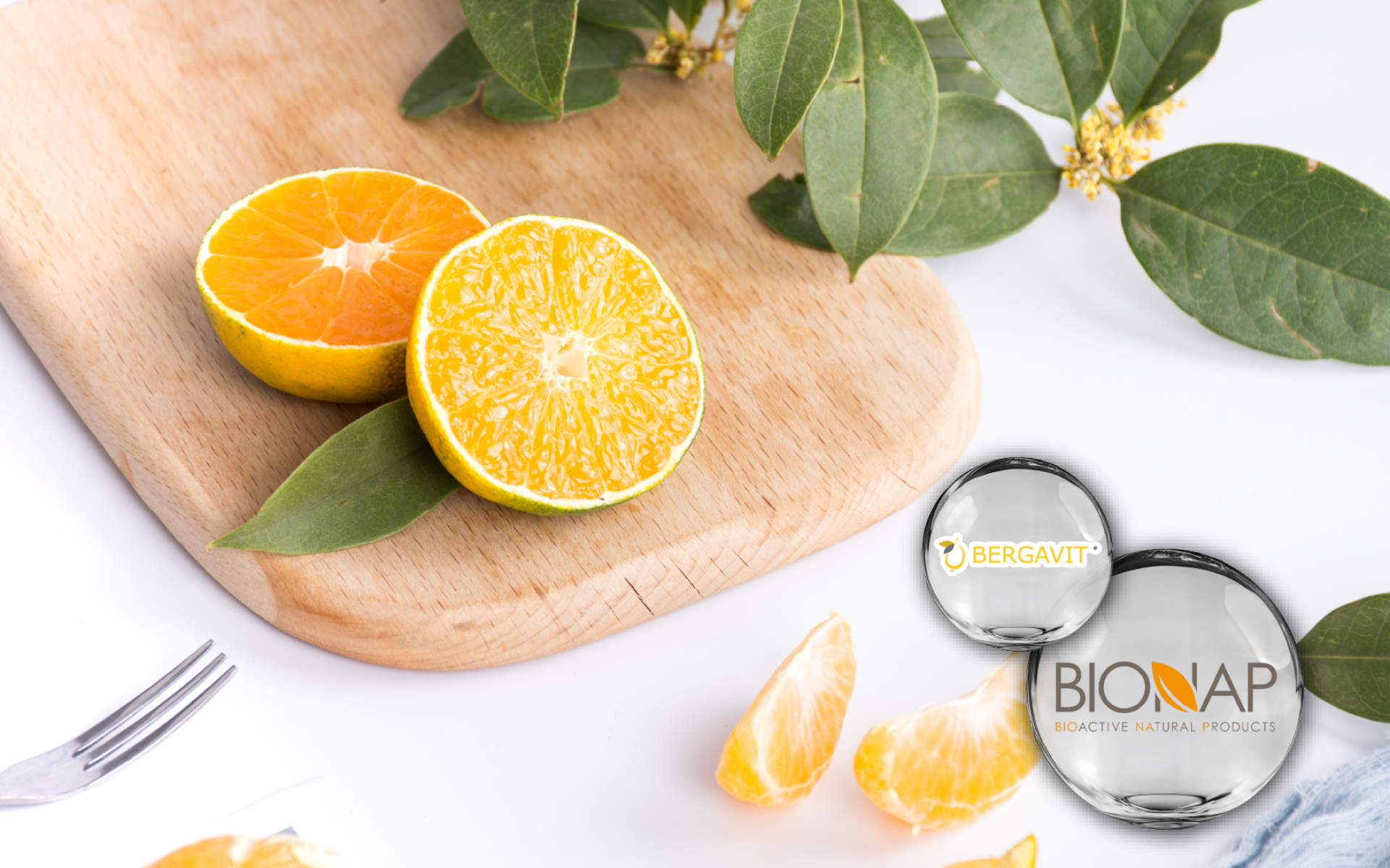 Bionap Bergavit® – 香檸檬果萃取，臨床支持代謝管理與循環保健
