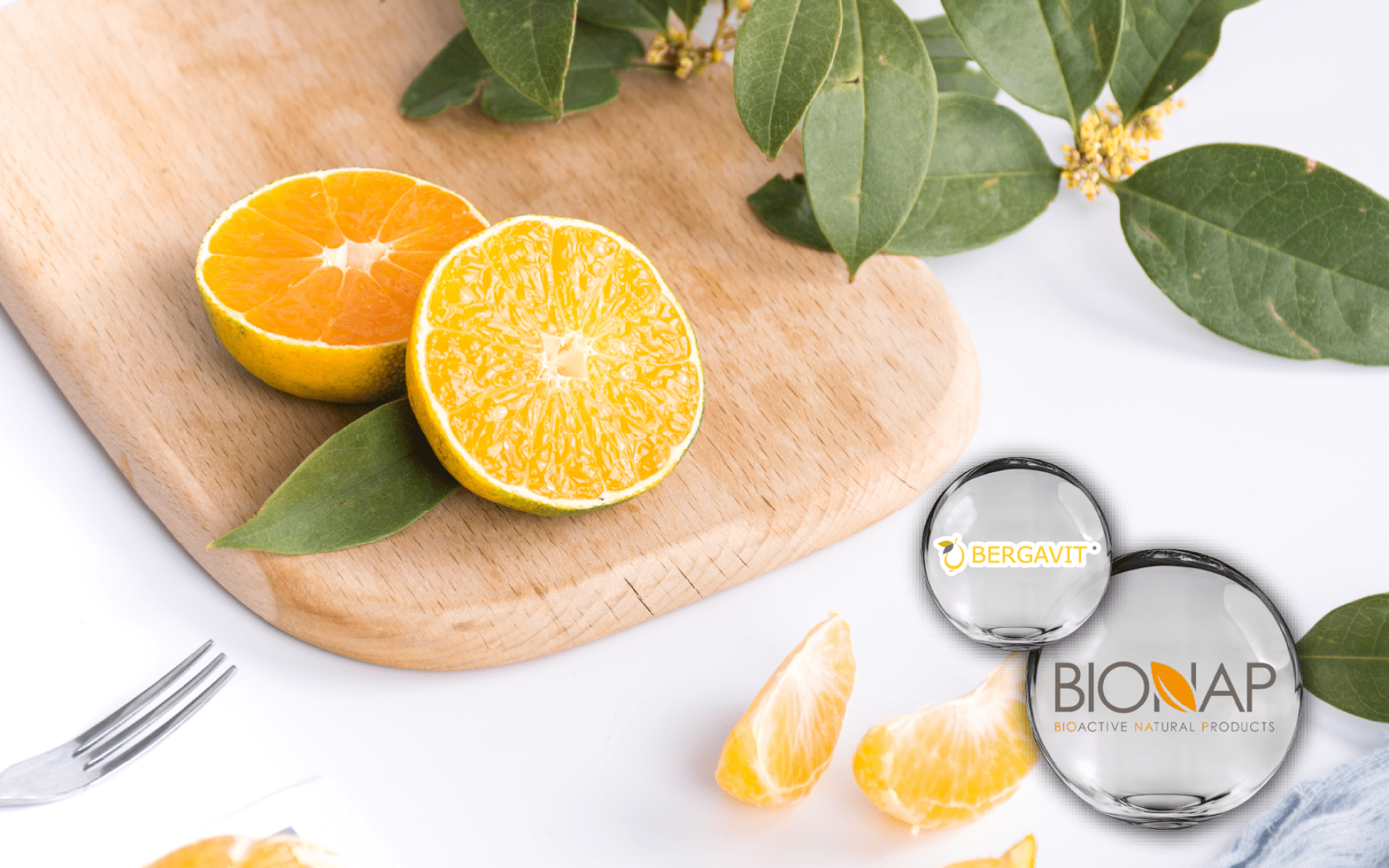 Bionap Bergavit® – 香檸檬果萃取，臨床支持代謝管理與循環保健