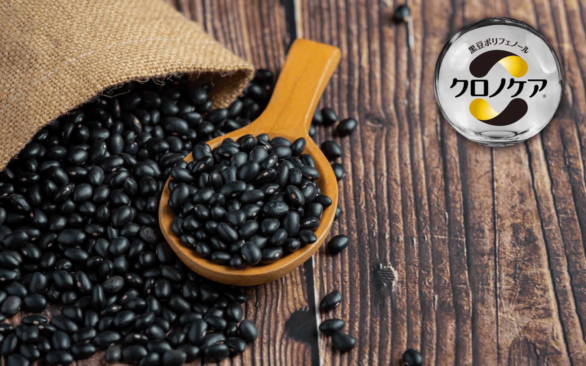 Fujicco Chrono-Care® Black Soybean Seed Coat Extract – Low-Molecular Proanthocyanidins for Metabolic Support