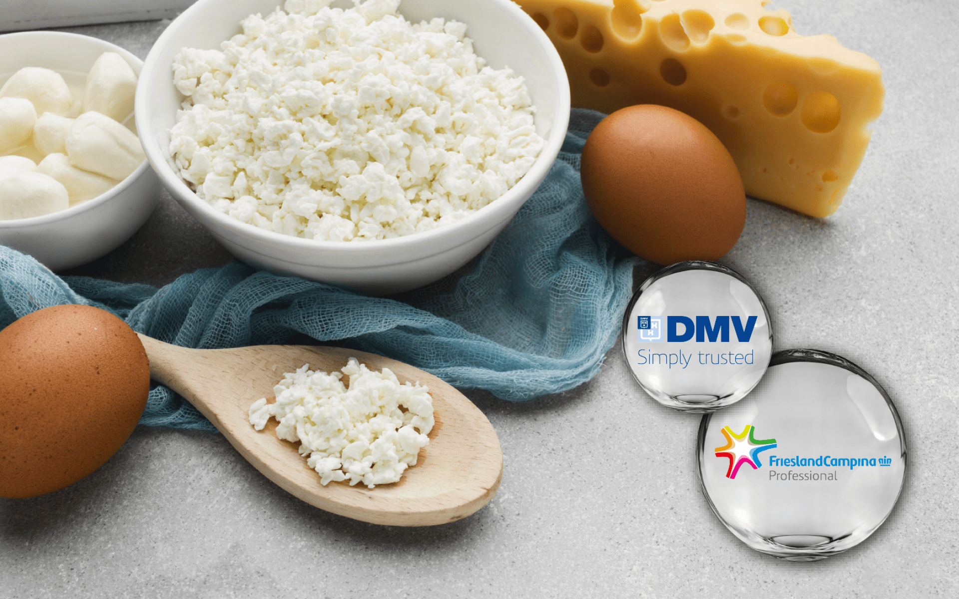 DMV 菲仕蘭 乾酪素鈣・鈉 – 高純度乳製蛋白，支持飽足與持續營養補給