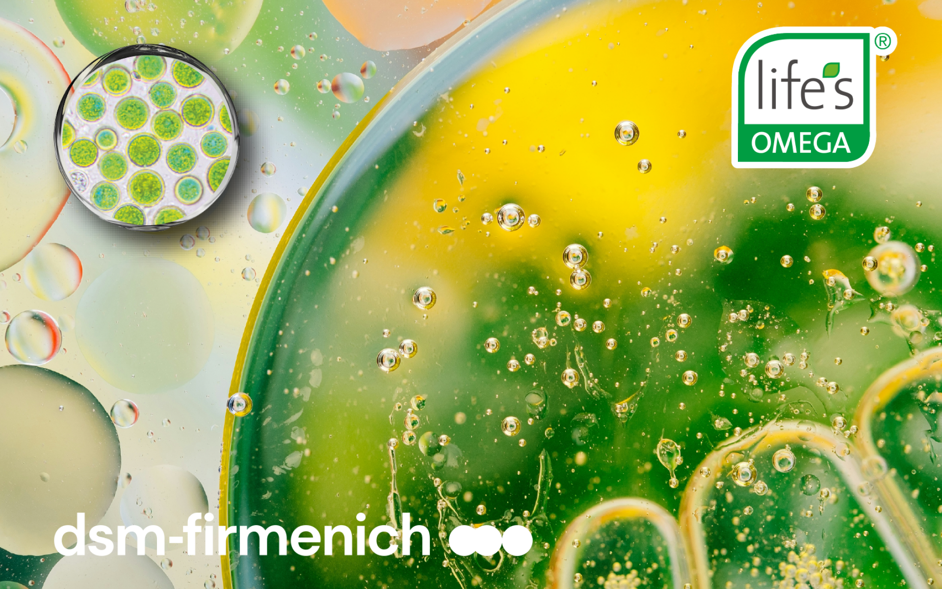 DSM Life's™ Omega Ultra – 高純度植物性藻油 Omega-3，DHA＋EPA 永續來源