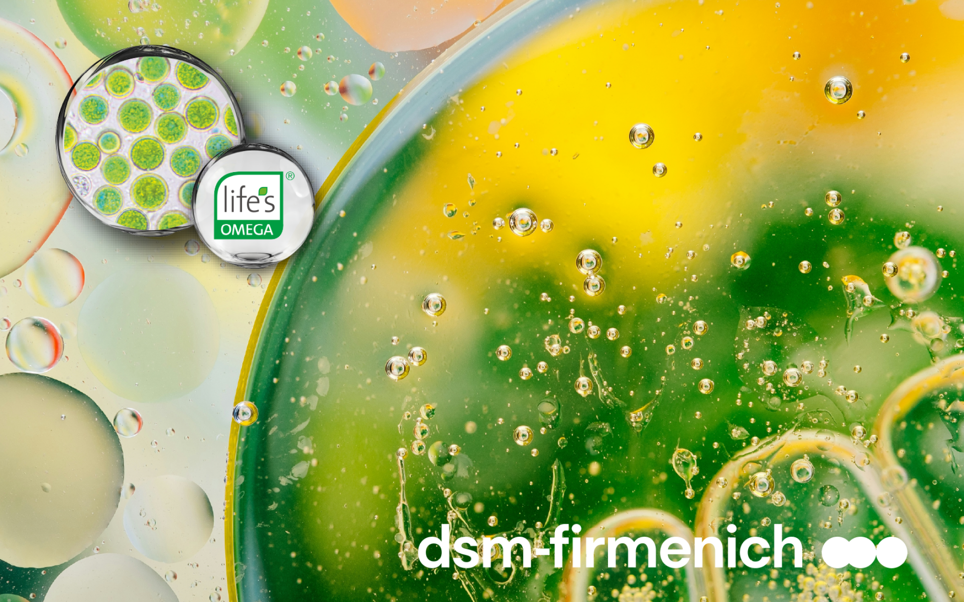 DSM Life's™ Omega Ultra – 高純度植物性藻油 Omega-3，DHA＋EPA 永續來源