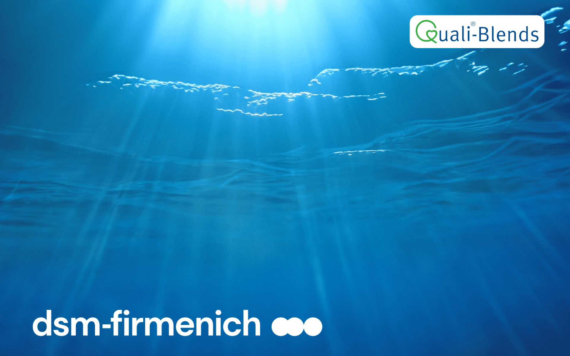 DSM Minnerals – 12 種以上必需礦物質補給，支持多族群營養需求