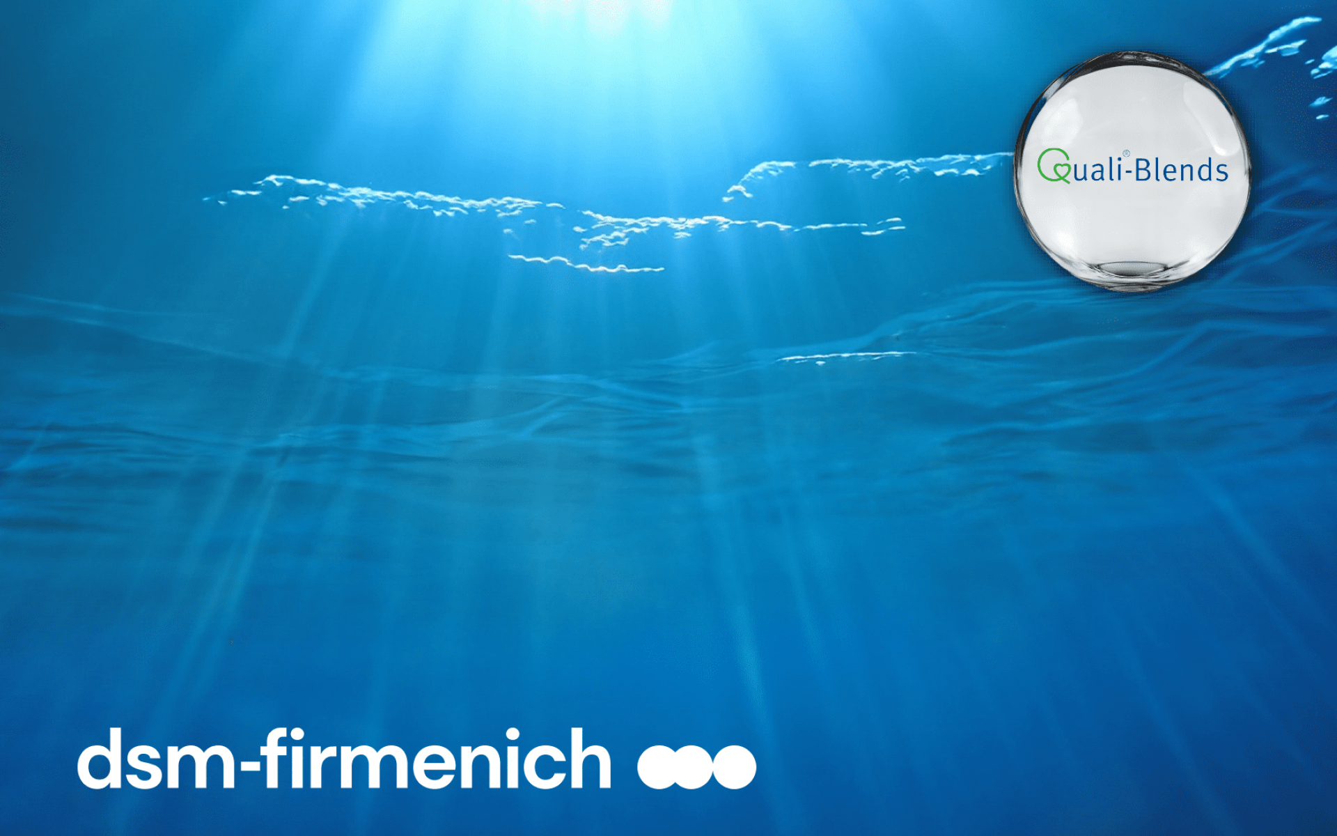 DSM Minneral Premix | 12+ Essential Minerals for Daily Nutrition