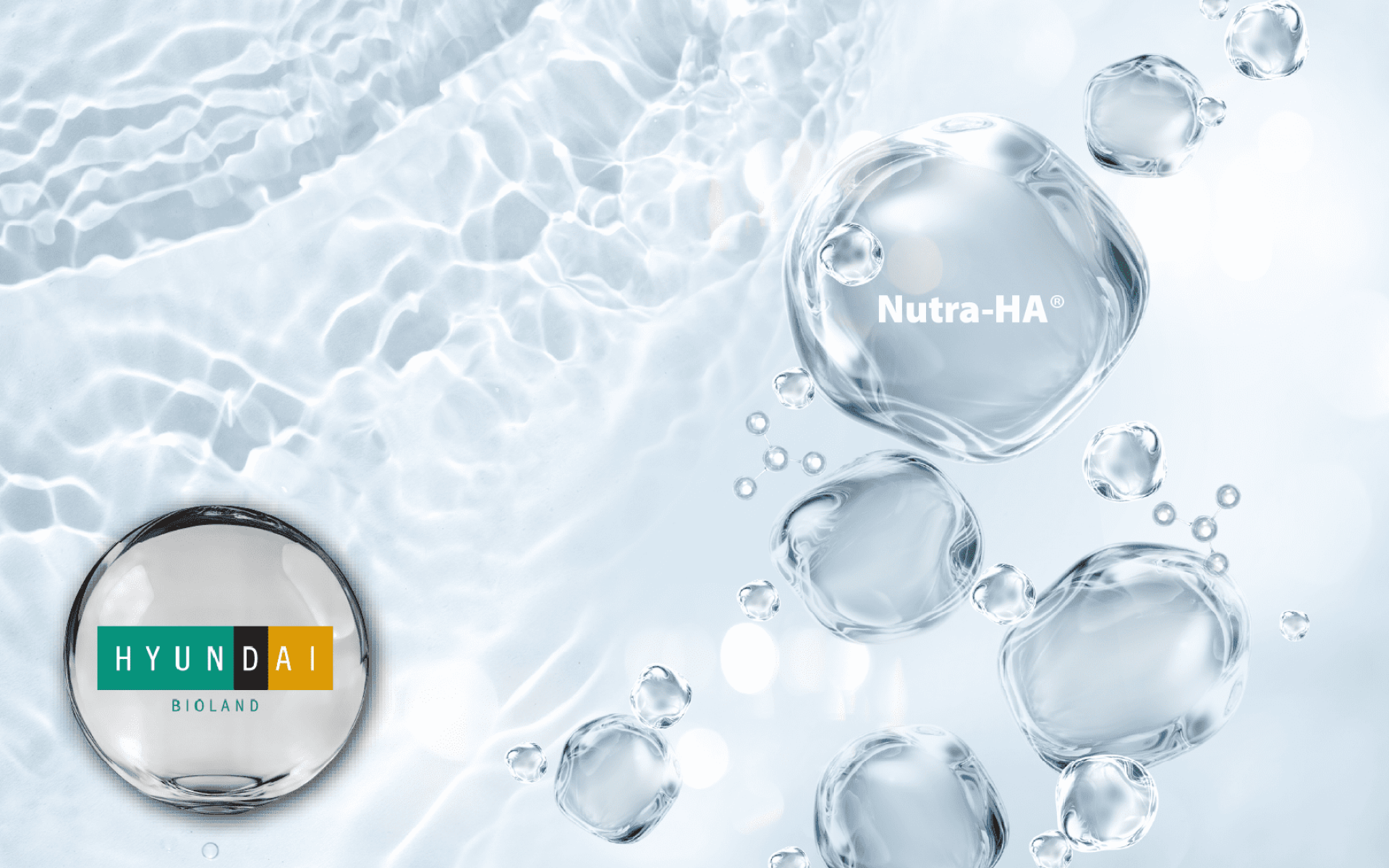 Daesang Inter Nutra-HA® – 韓國流行鏈球菌發酵玻尿酸，支持口服保濕與青春彈性