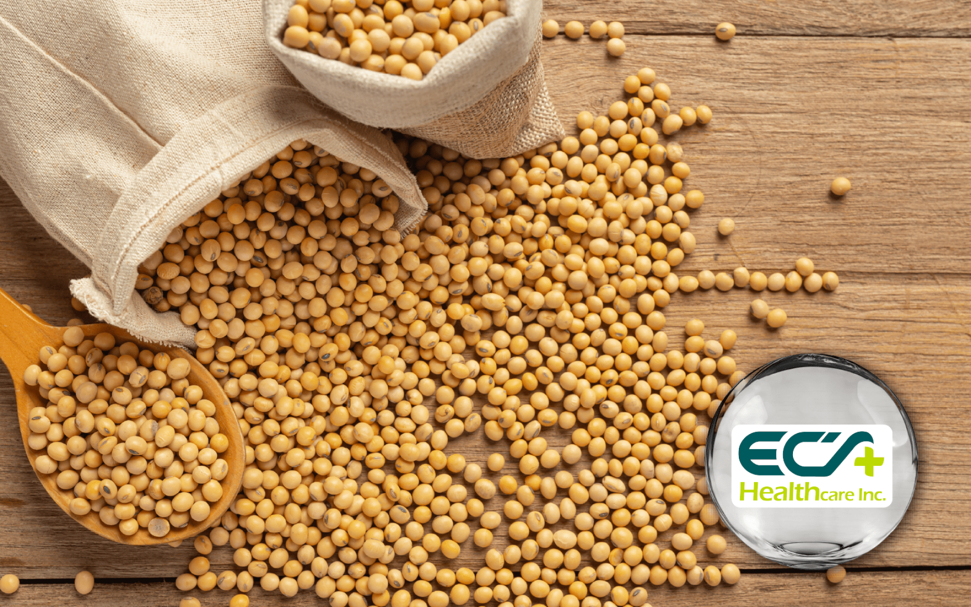 Bio PS® plant-based phosphatidylserine · cognitive and focus support ingredient