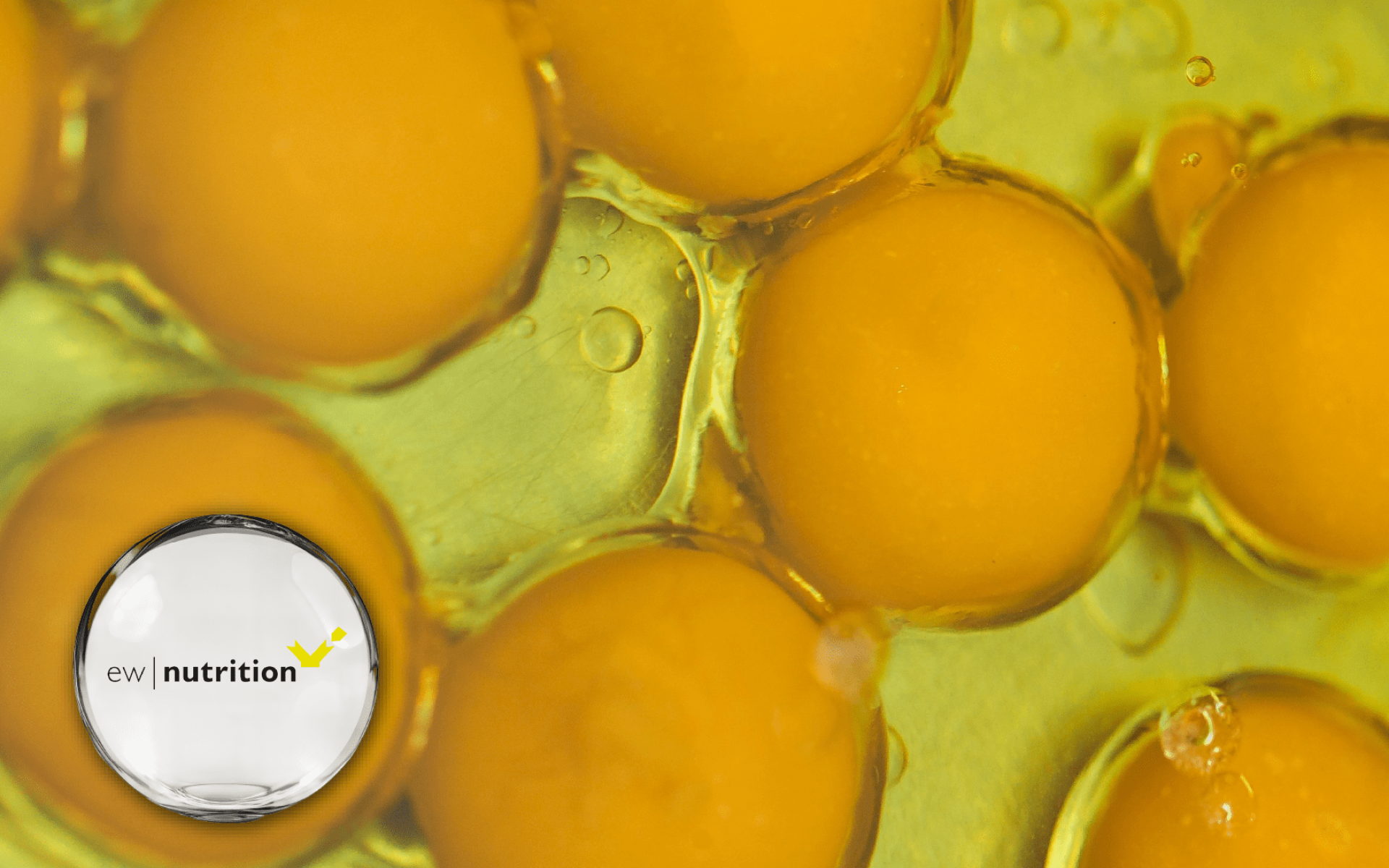 EW Nutrition Egg Yolk IgY – Japanese-developed immune support ingredient