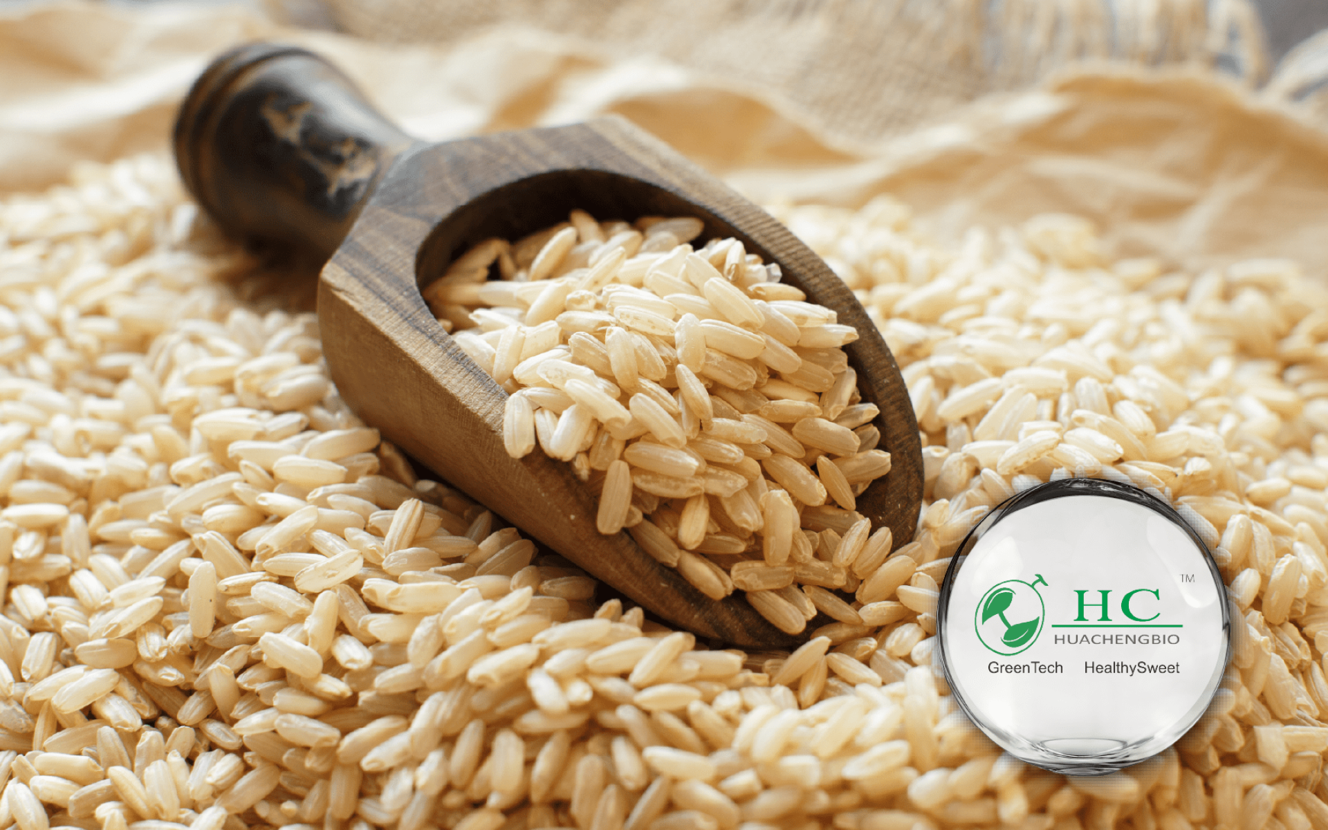 Gabarelax™ γ-胺基丁酸發酵物｜放鬆與調理營養素材