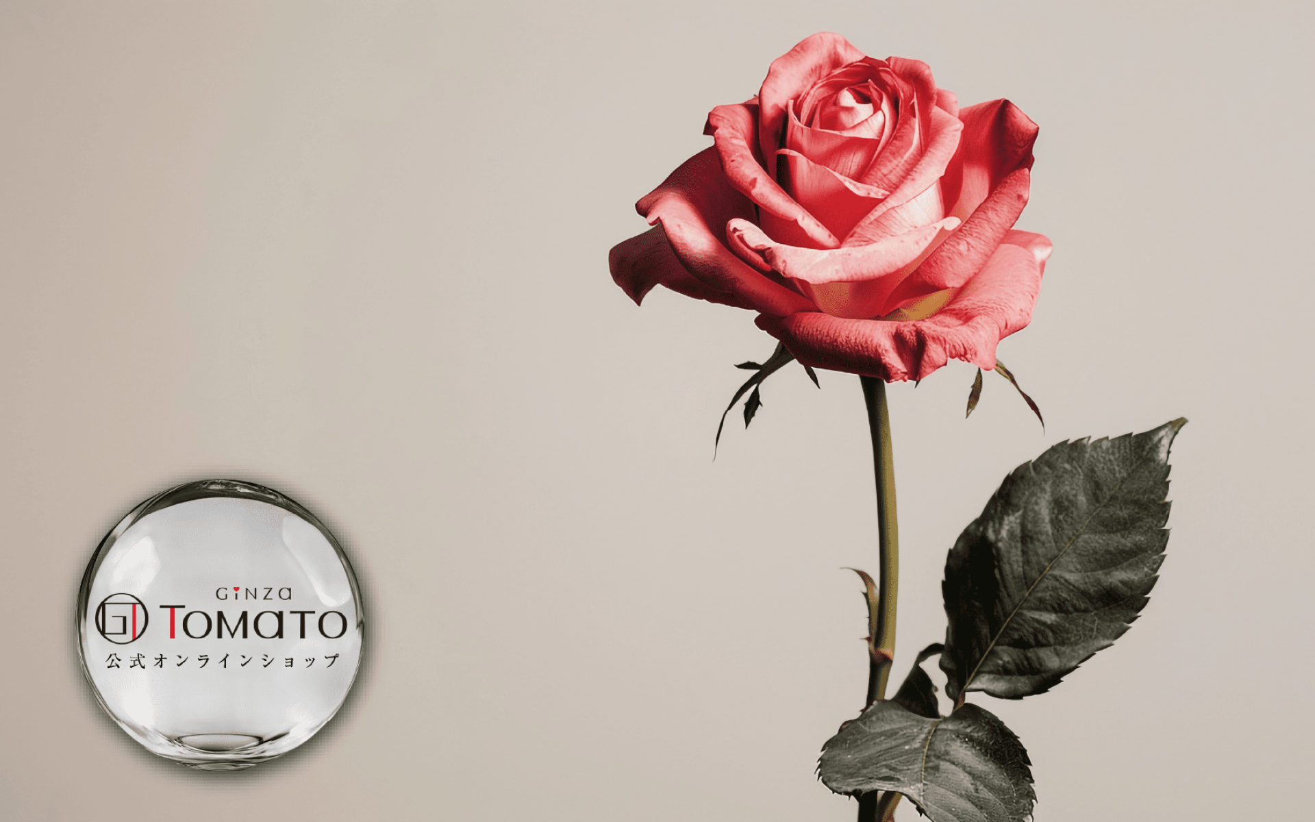 Ginza Tomato Rose Extract – Japanese patented rose ingredient for skin radiance and youth support