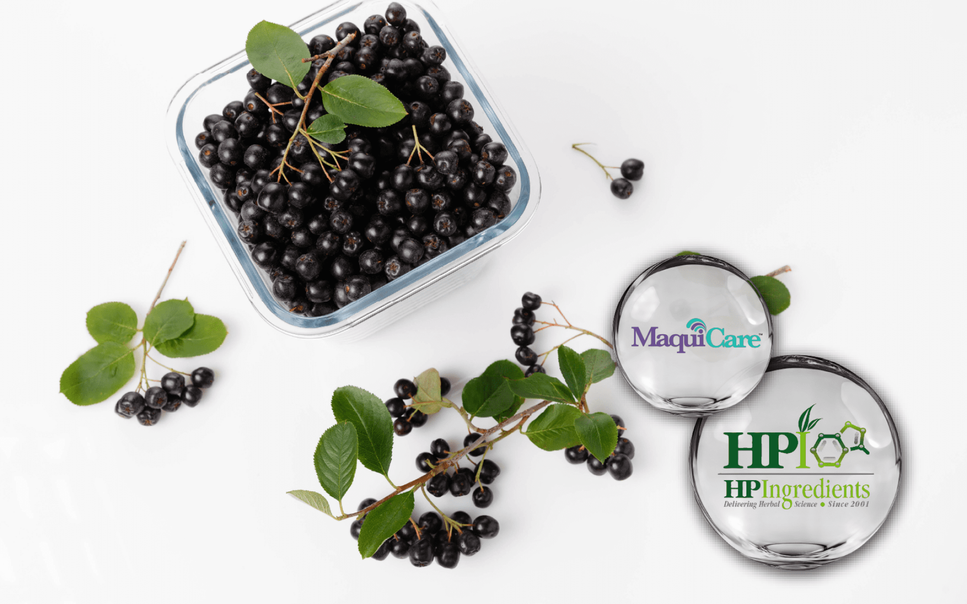 HP Ingredients MaquiCare™ – Maqui Berry Extract with High Anthocyanin Content for Antioxidant & Metabolic Support