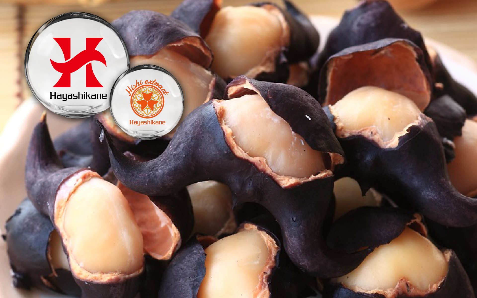 Hishi extract · Japanese patented botanical ingredient · metabolism and energy support