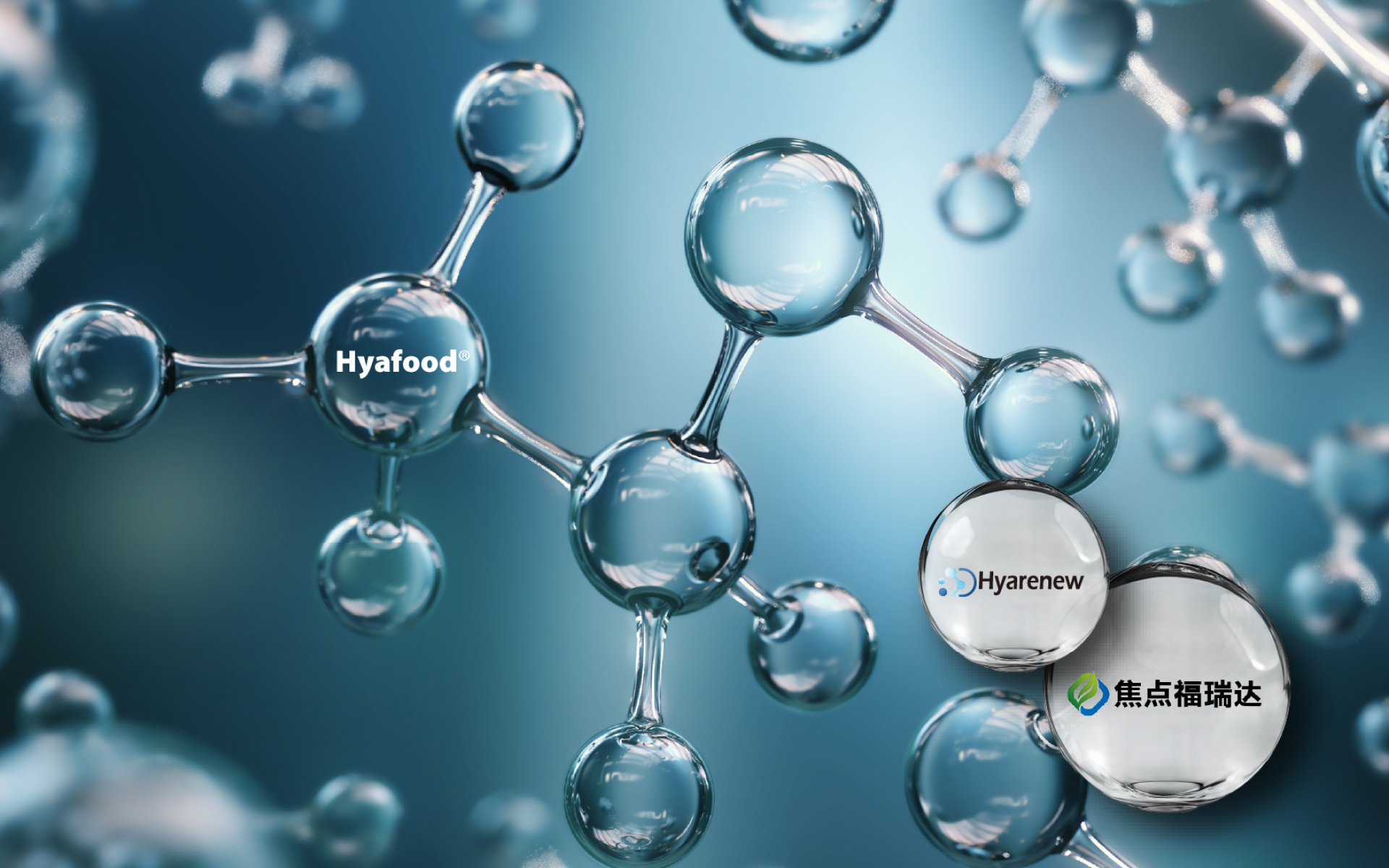 Hyafood® Sodium Hyaluronate Ferment | High Purity · Hydration & Mobility Support