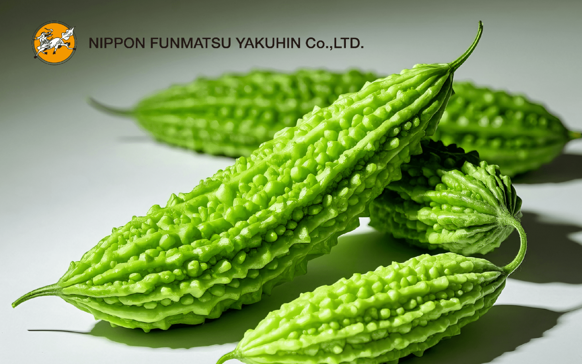 日本粉末 苦瓜胜肽 – 天然植萃代謝管理原料