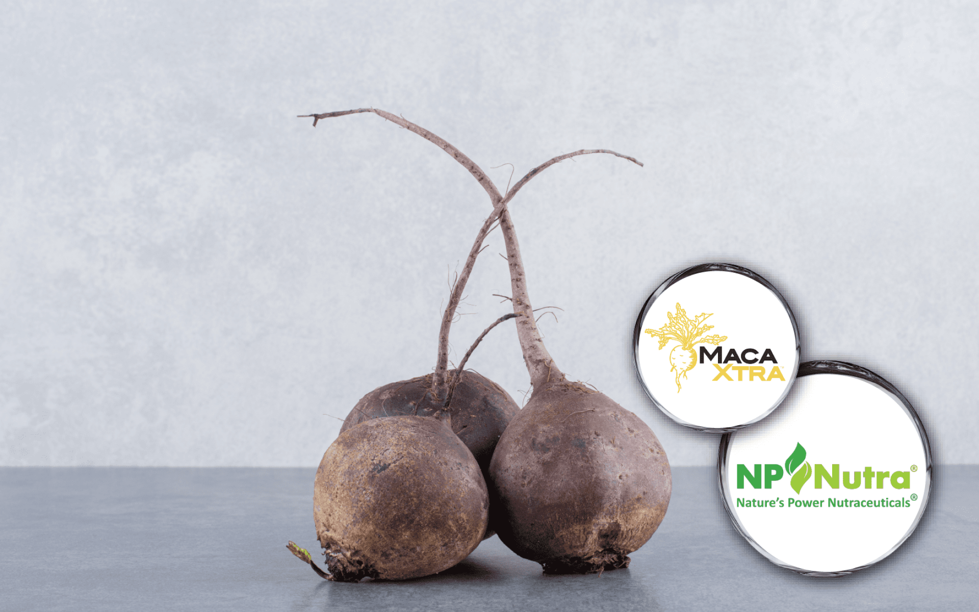 MACAXTRA® maca extract – authentic Andean origin, standardized glucosinolates, vitality support ingredient