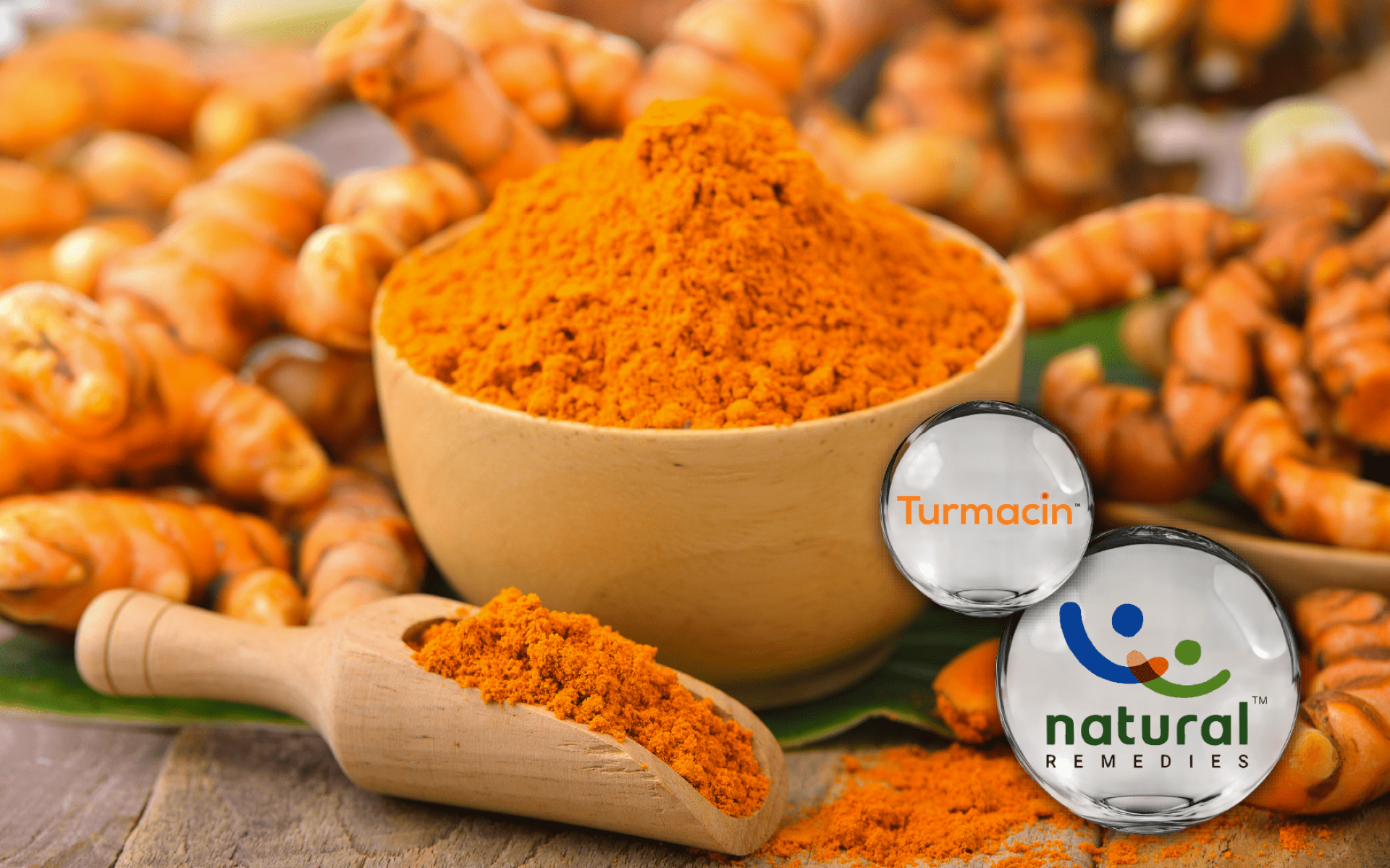 Turmacin® 薑黃萃取 – 水溶性薑黃多醣，臨床支持關鍵靈活