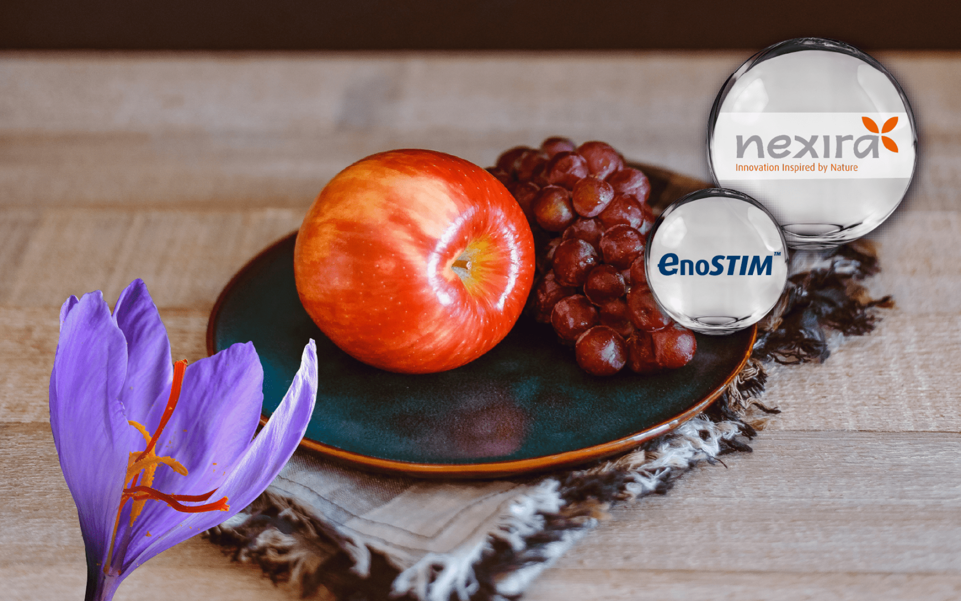 EnoSTIM® 葡萄複合物 – 男性循環支持植萃，含葡萄渣、蘋果皮與番紅花