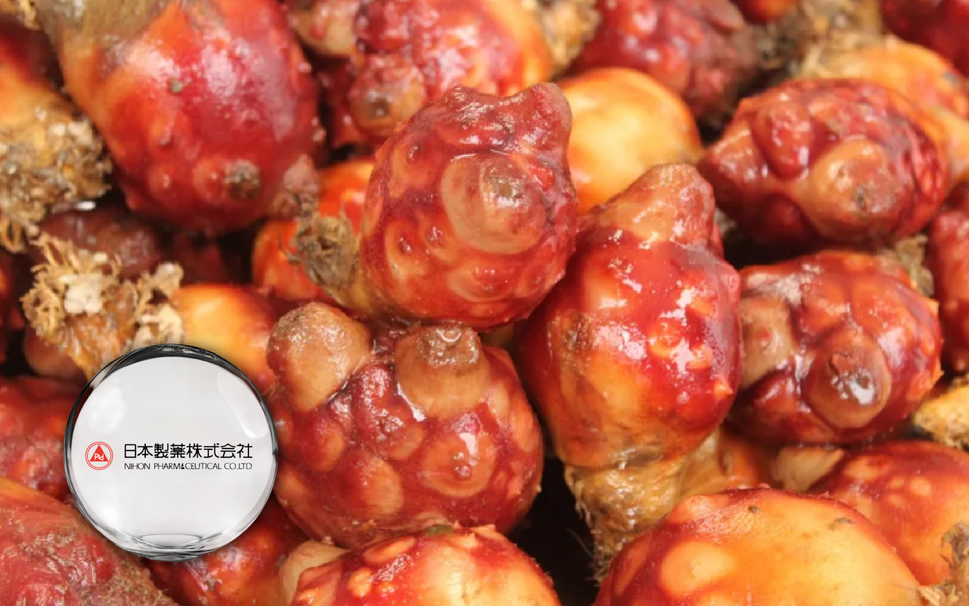 海鞘萃取 Plasmalogen｜日本NIHON製藥｜條理與穩定節奏的營養素材