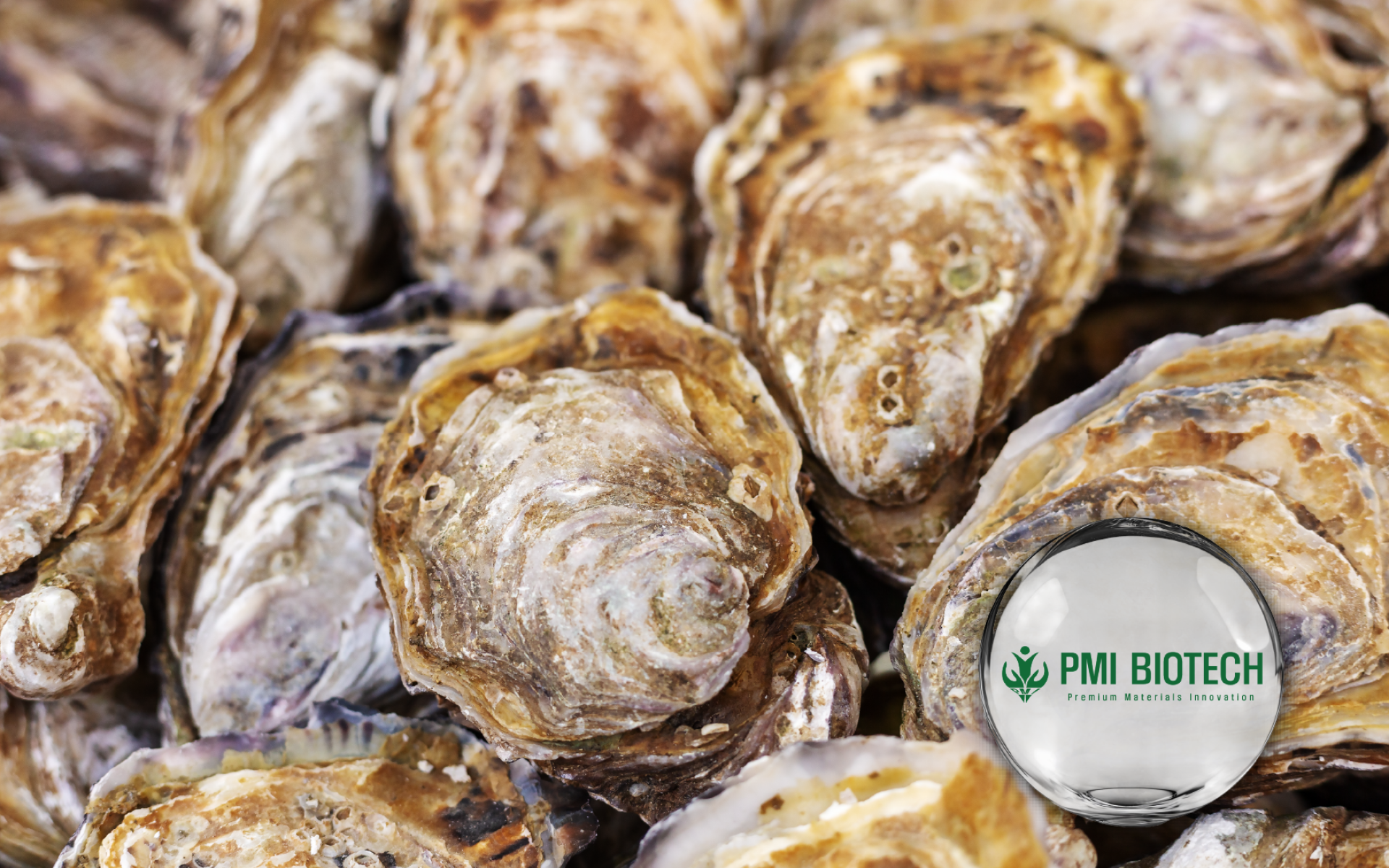 PMI 檸檬酸鈣 – 高溶解好吸收，綠色科技環保鈣源