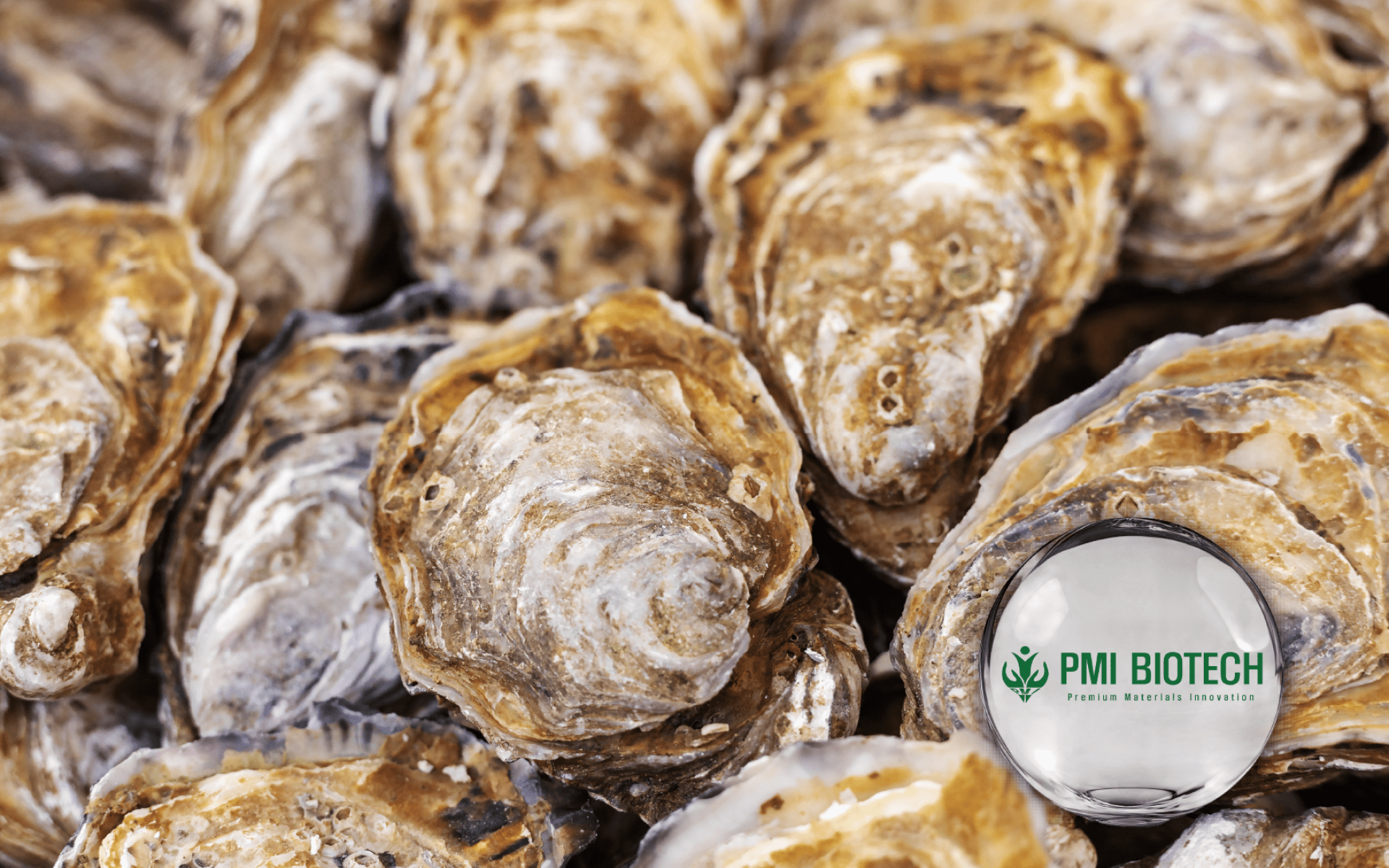 PMI Calcium Citrate – high absorption, eco-friendly calcium source