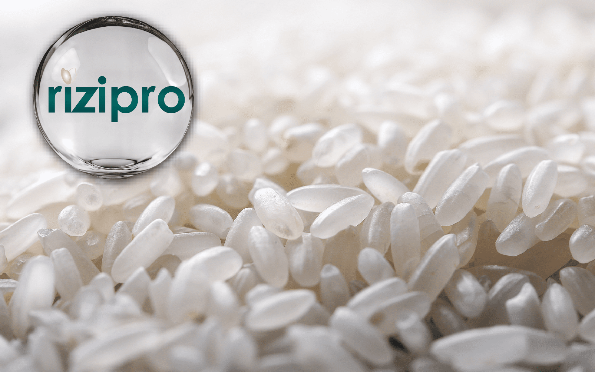 RiziPro® Rice Protein · Hypoallergenic Plant Protein · Complete Amino Acid Source