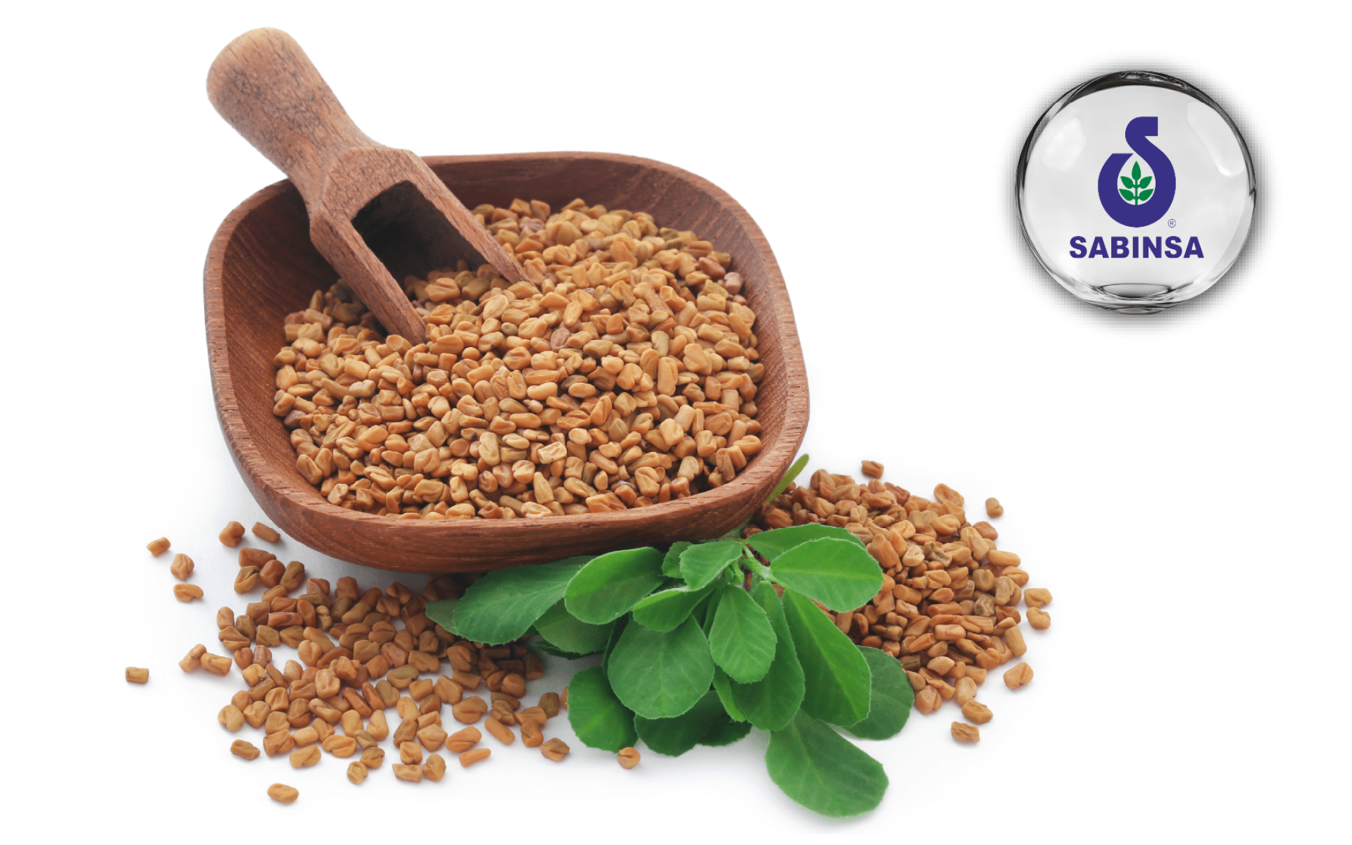 Sabinsa FenuSterol® – 胡蘆巴籽植物皂苷萃取，運動與代謝保健應用