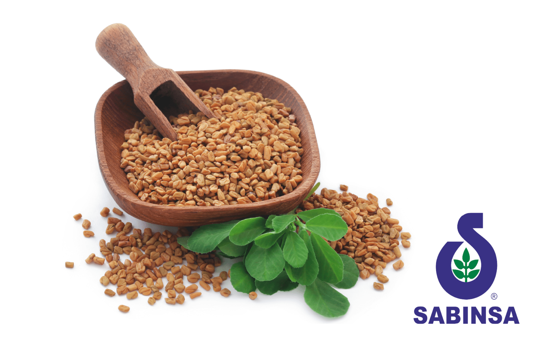 Sabinsa FenuSterol® – 胡蘆巴籽植物皂苷萃取，運動與代謝保健應用