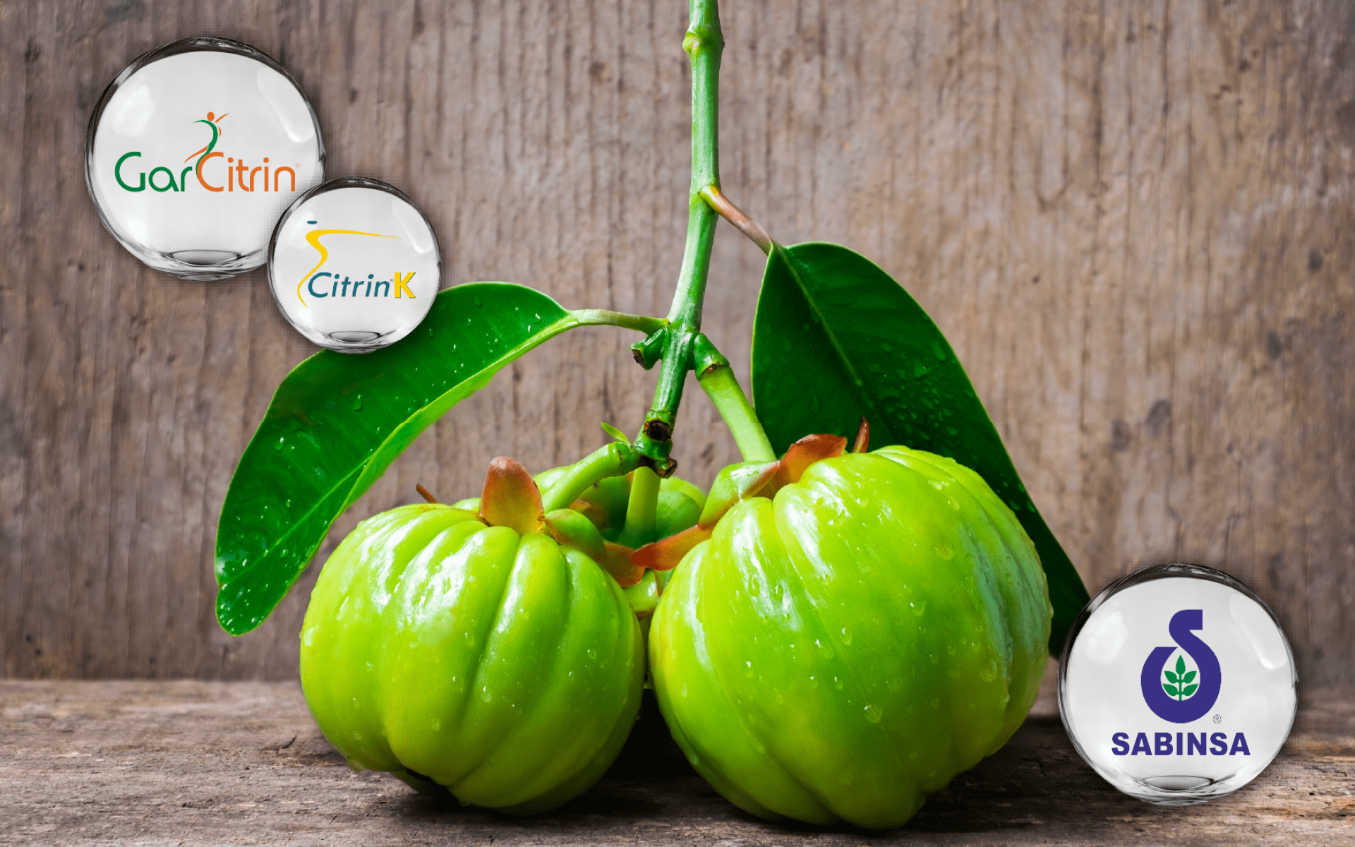 Sabinsa 藤黃果萃取 – HCA＋Garcinol 專利配方，代謝與窈窕應用