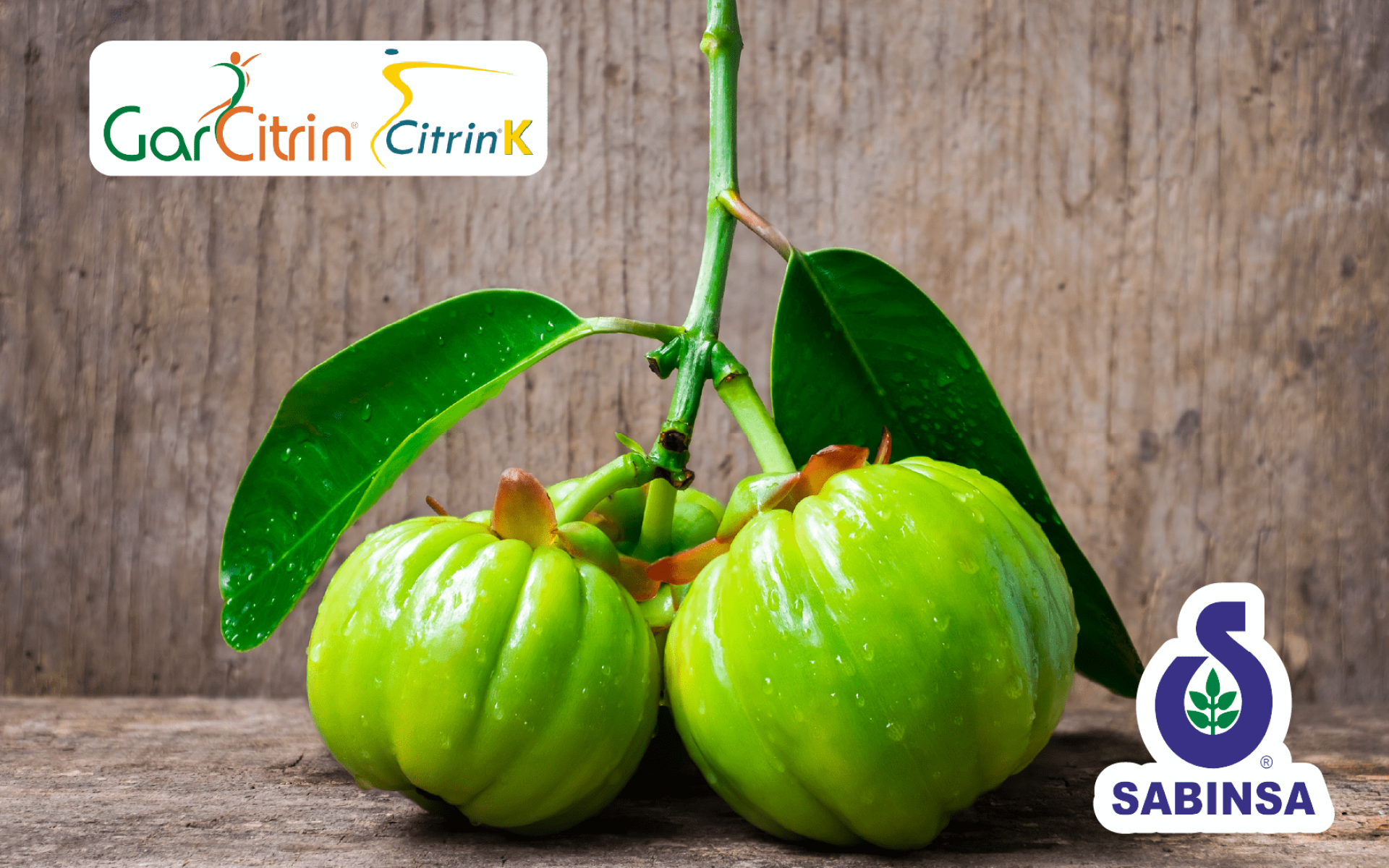 Sabinsa 藤黃果萃取 – HCA＋Garcinol 專利配方，代謝與窈窕應用